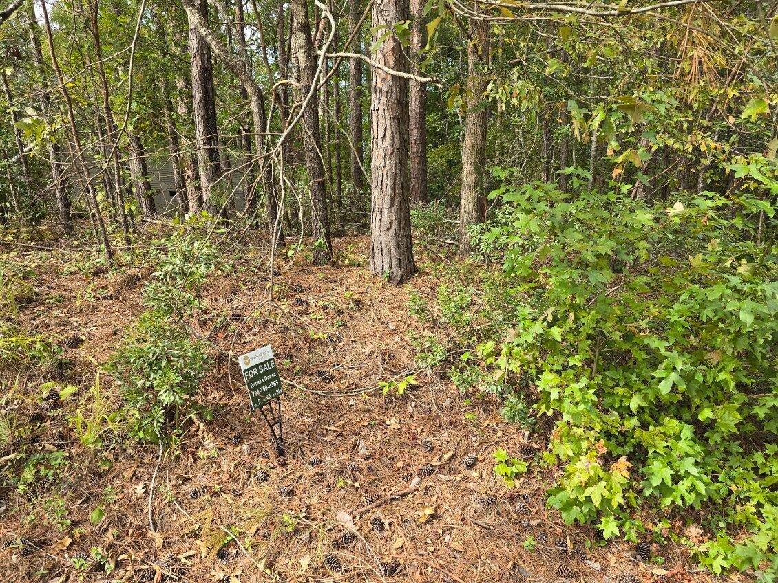 Homes for sale in Mc Cormick, SC | Lt 5 Bk 23 Brassie Dr, Mc Cormick, SC 29835 | MLS# 548750