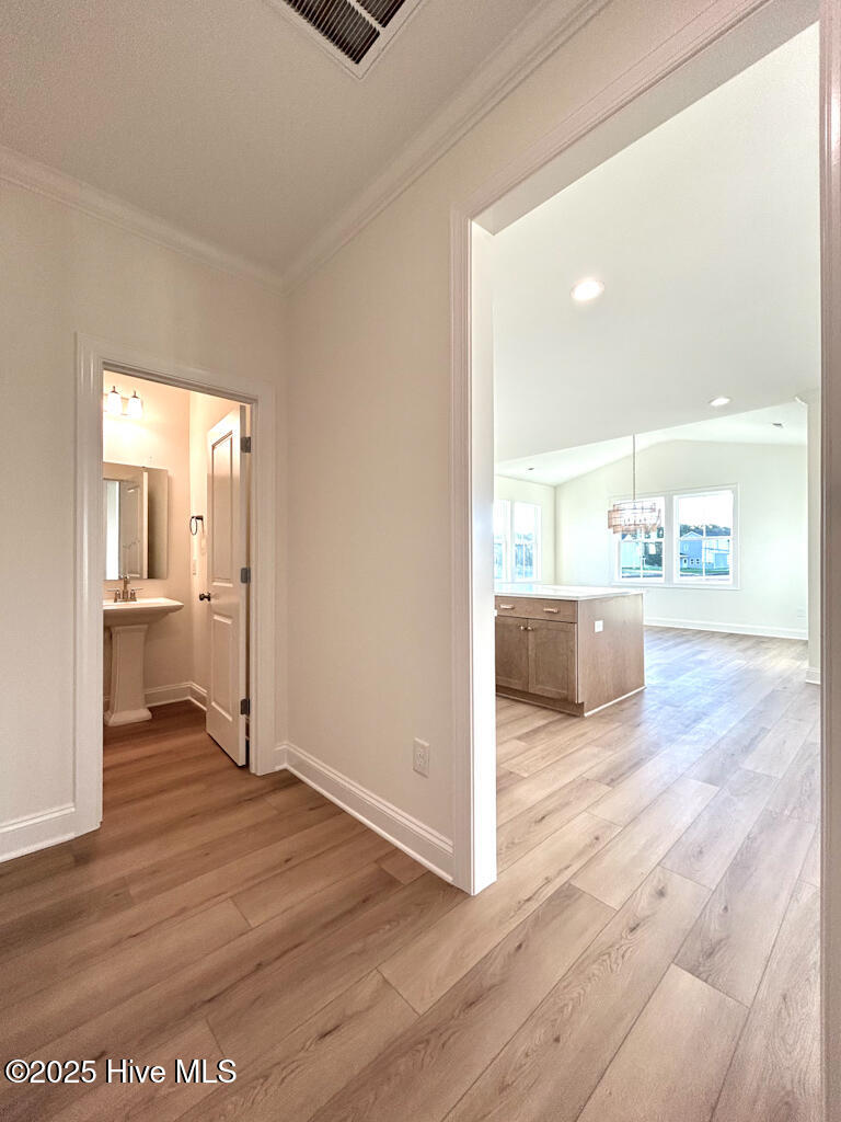 100510089 | Photo 49