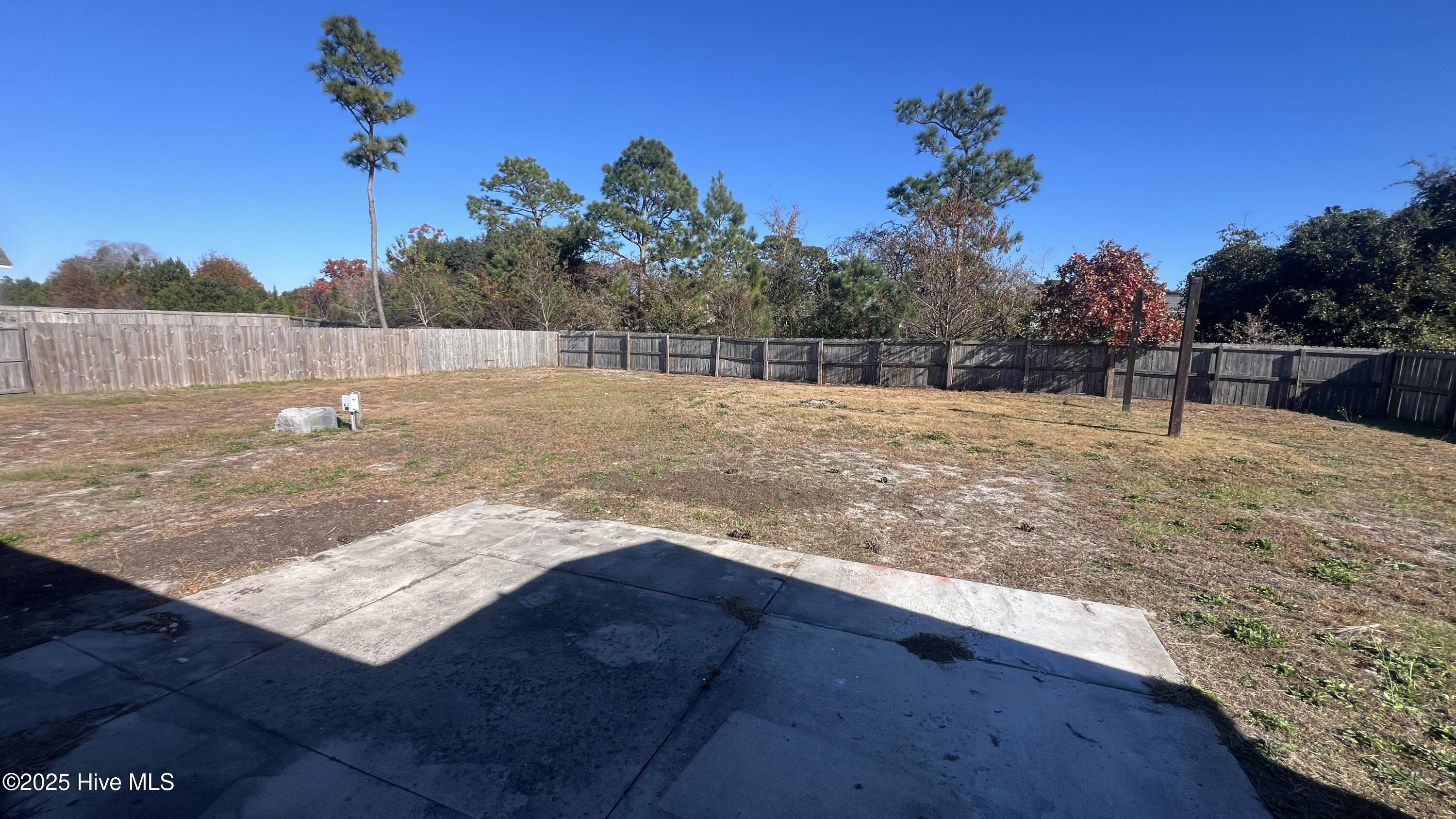 100542758 | Photo 24