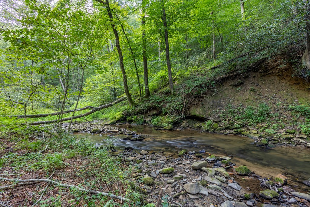 Exterior photo of 23.59 AC Chestnut Flats Road, Andrews, NC 28901. MLS: 98542753