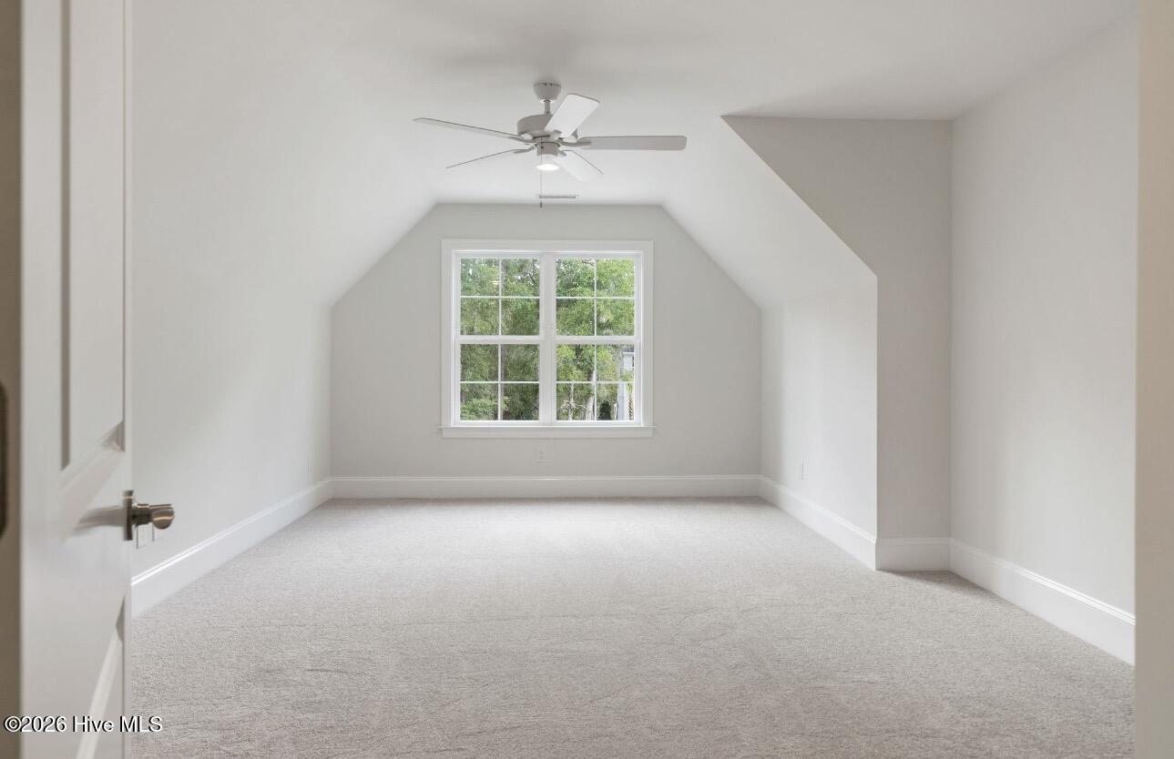 100556989 | Photo 28