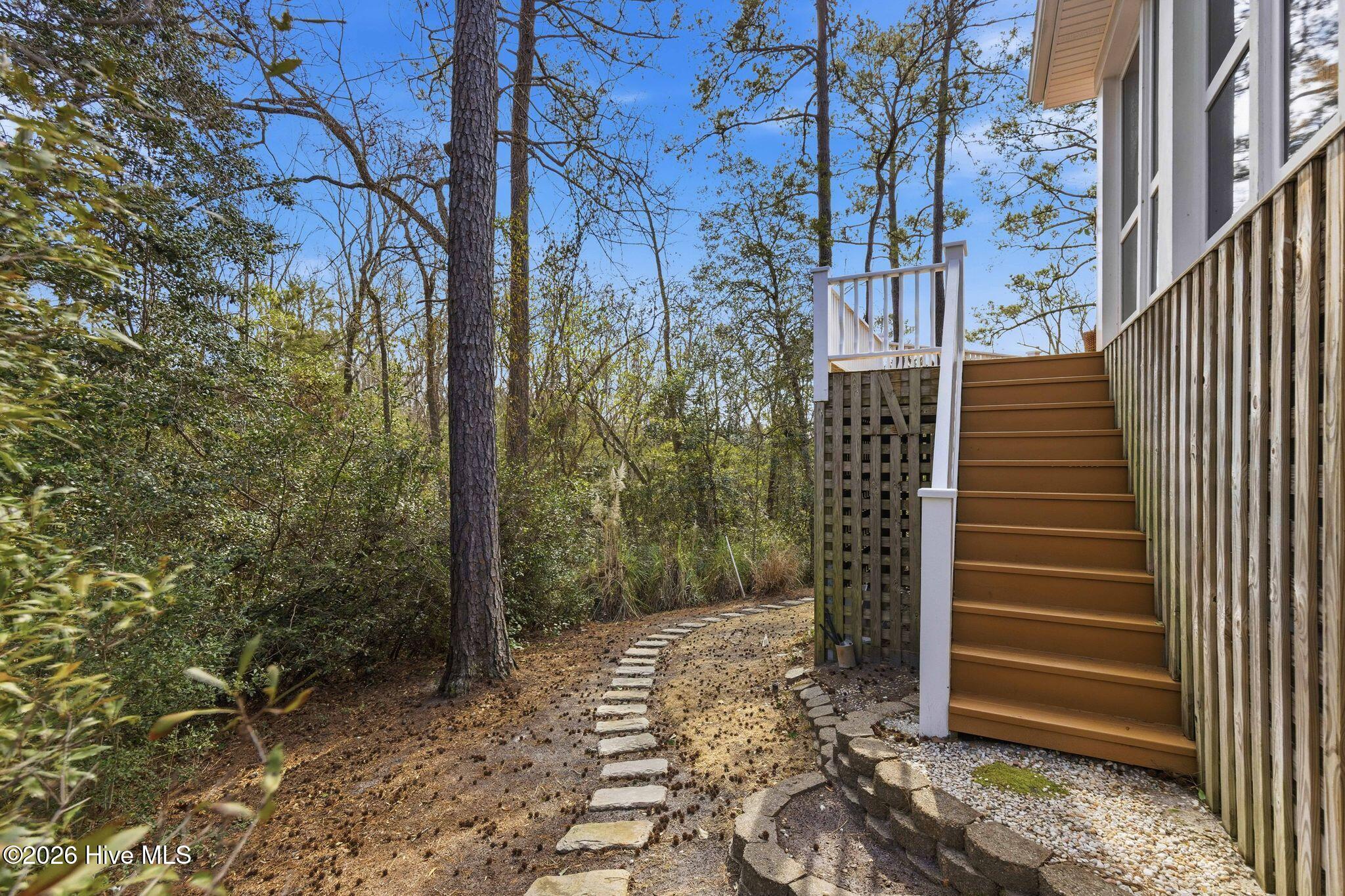 100565083 | Photo 70