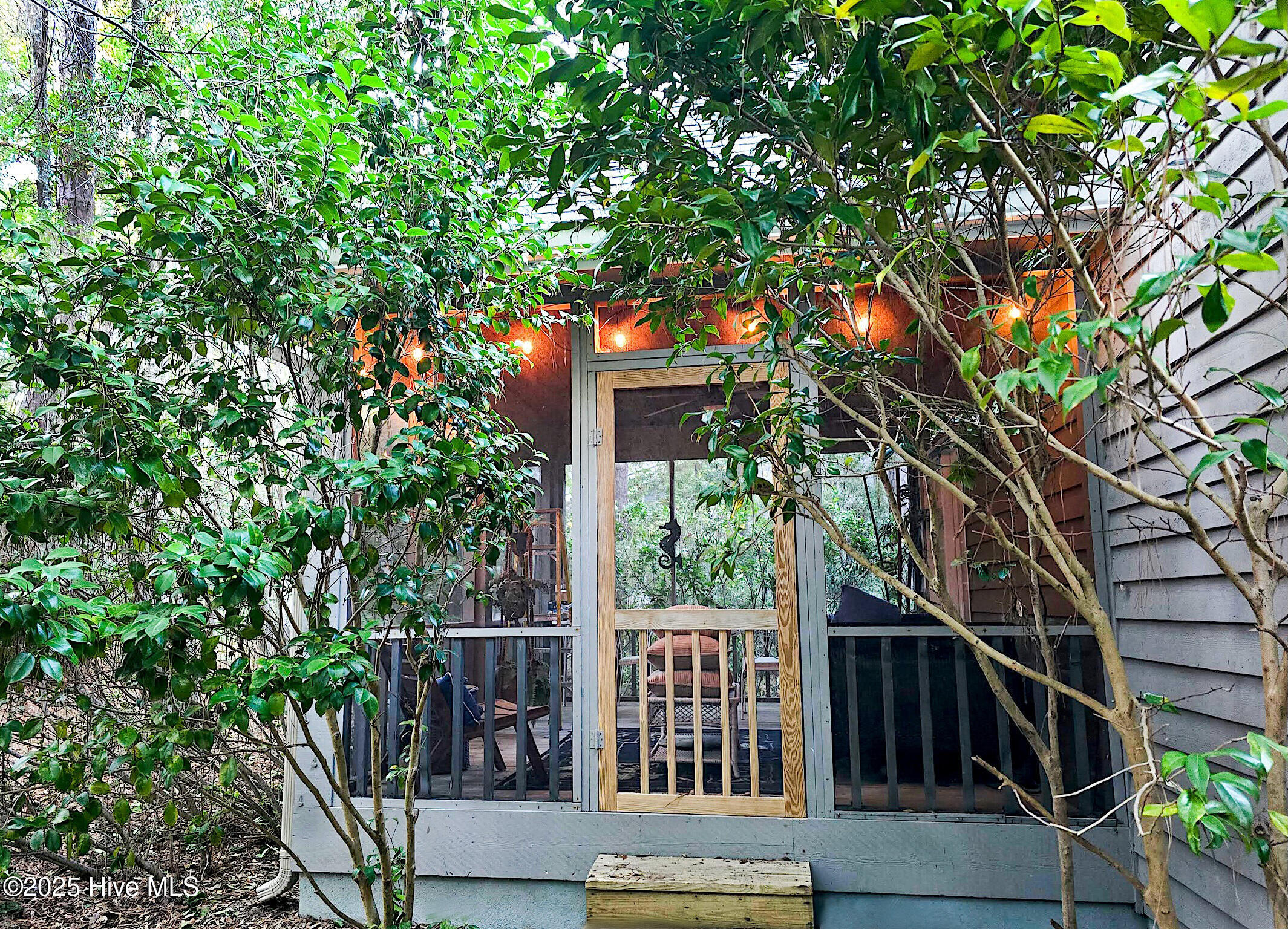 100504796 | Photo 61