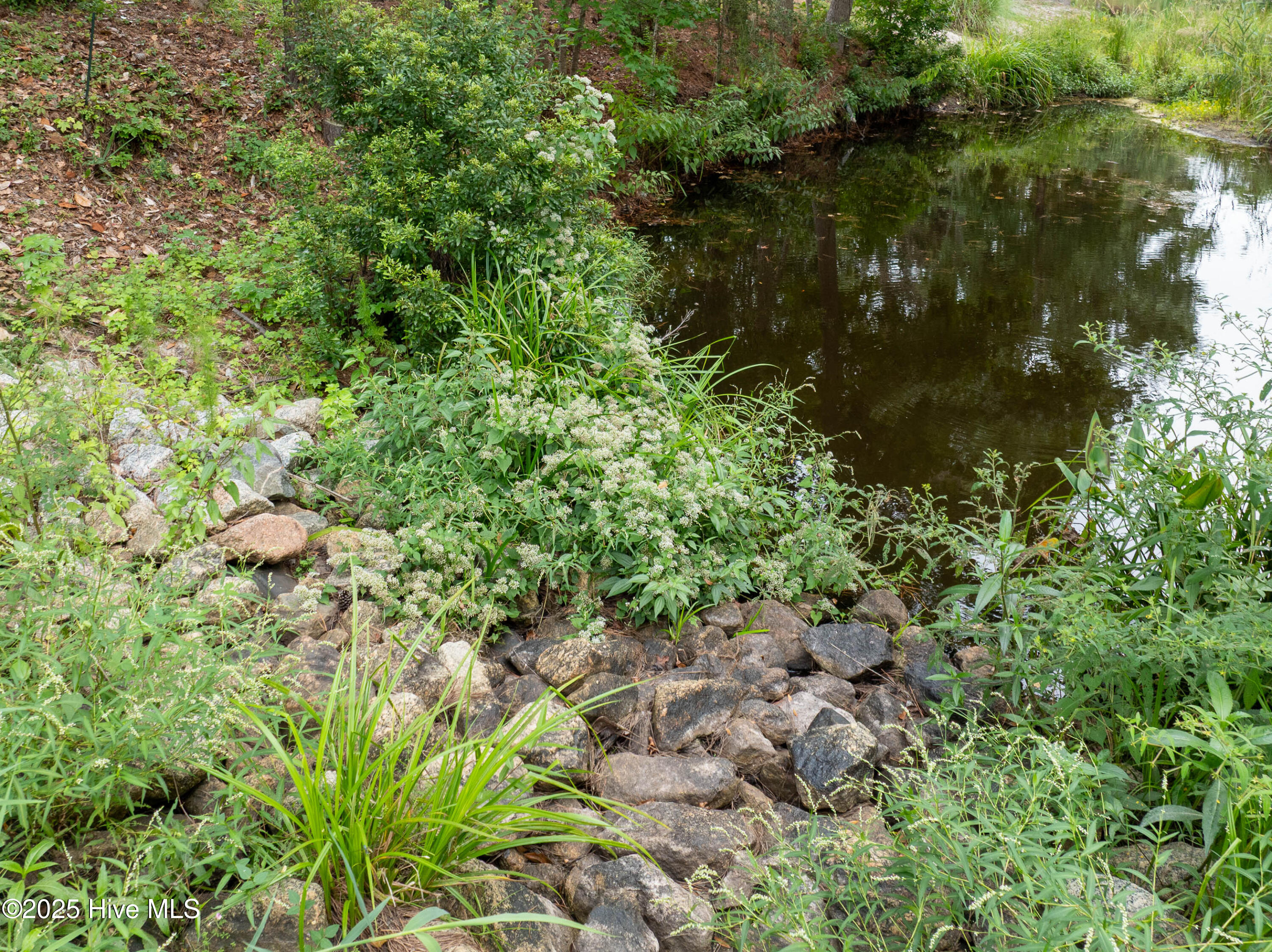 100505939 | Photo 58