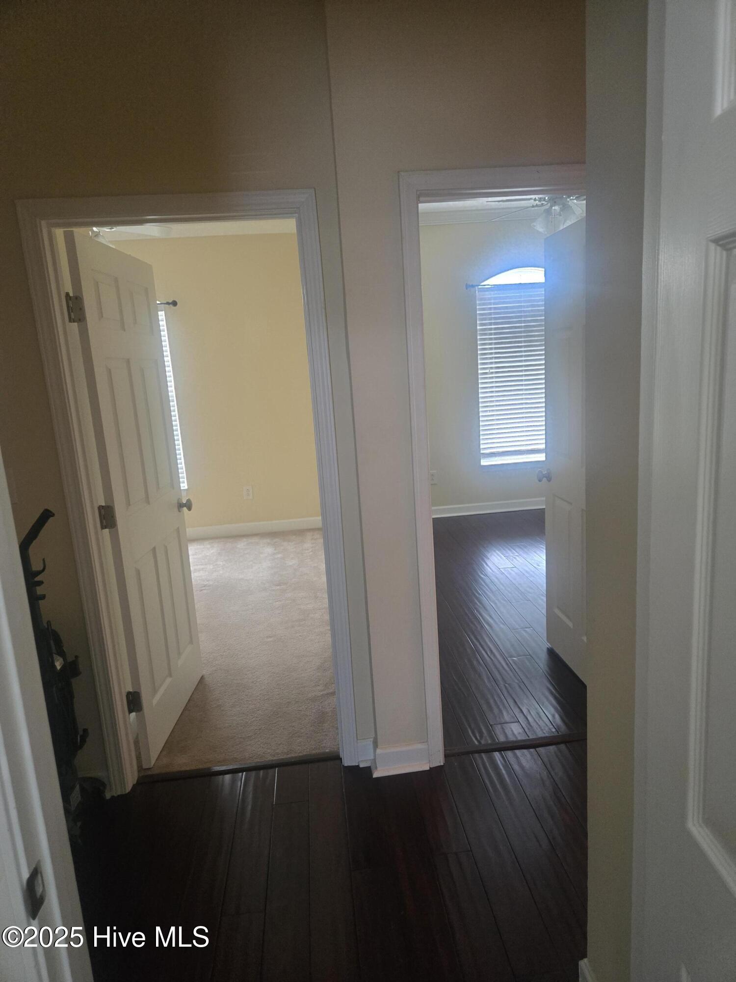 100517924 | Photo 16