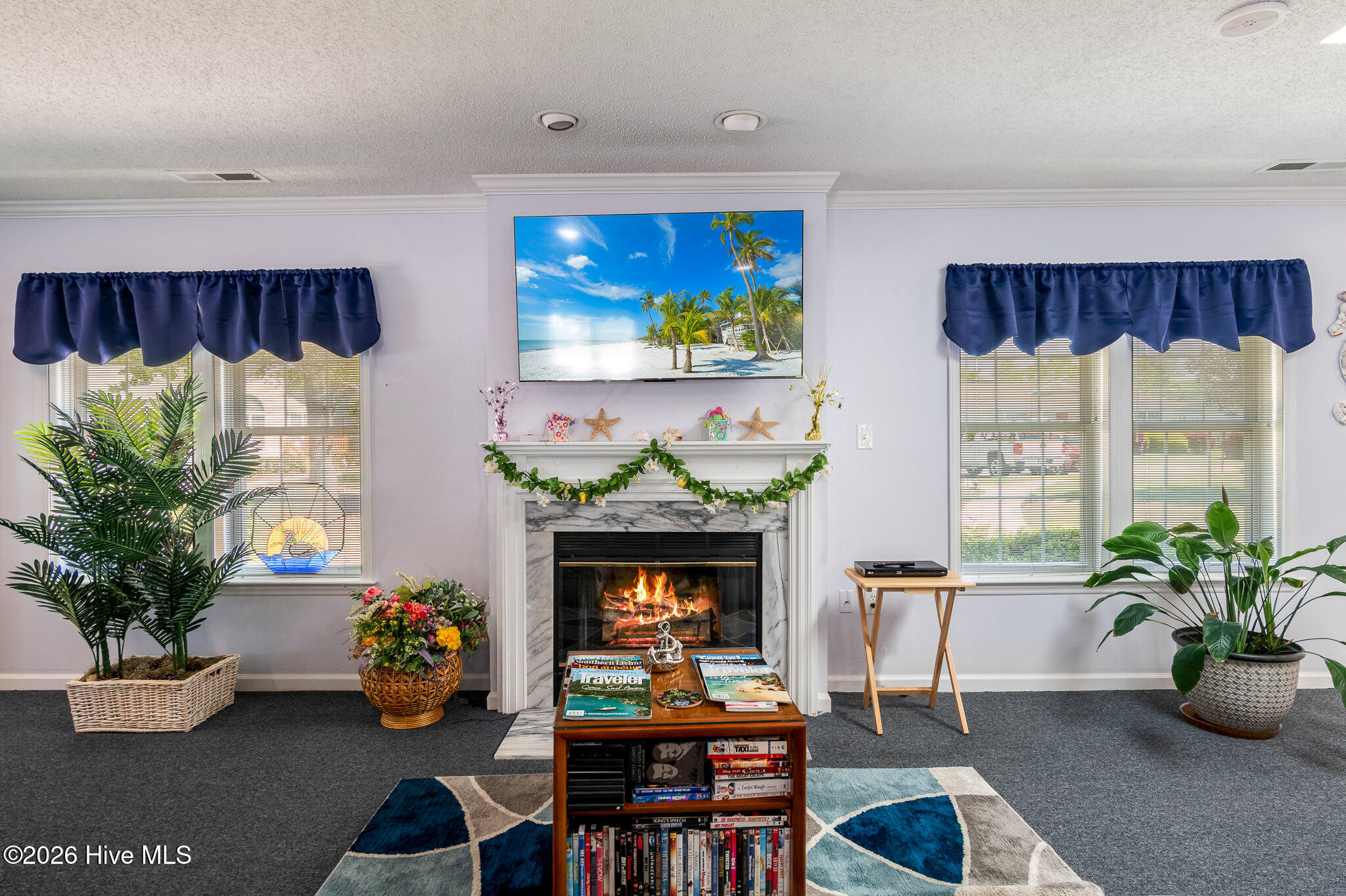 100566913 | Photo 44