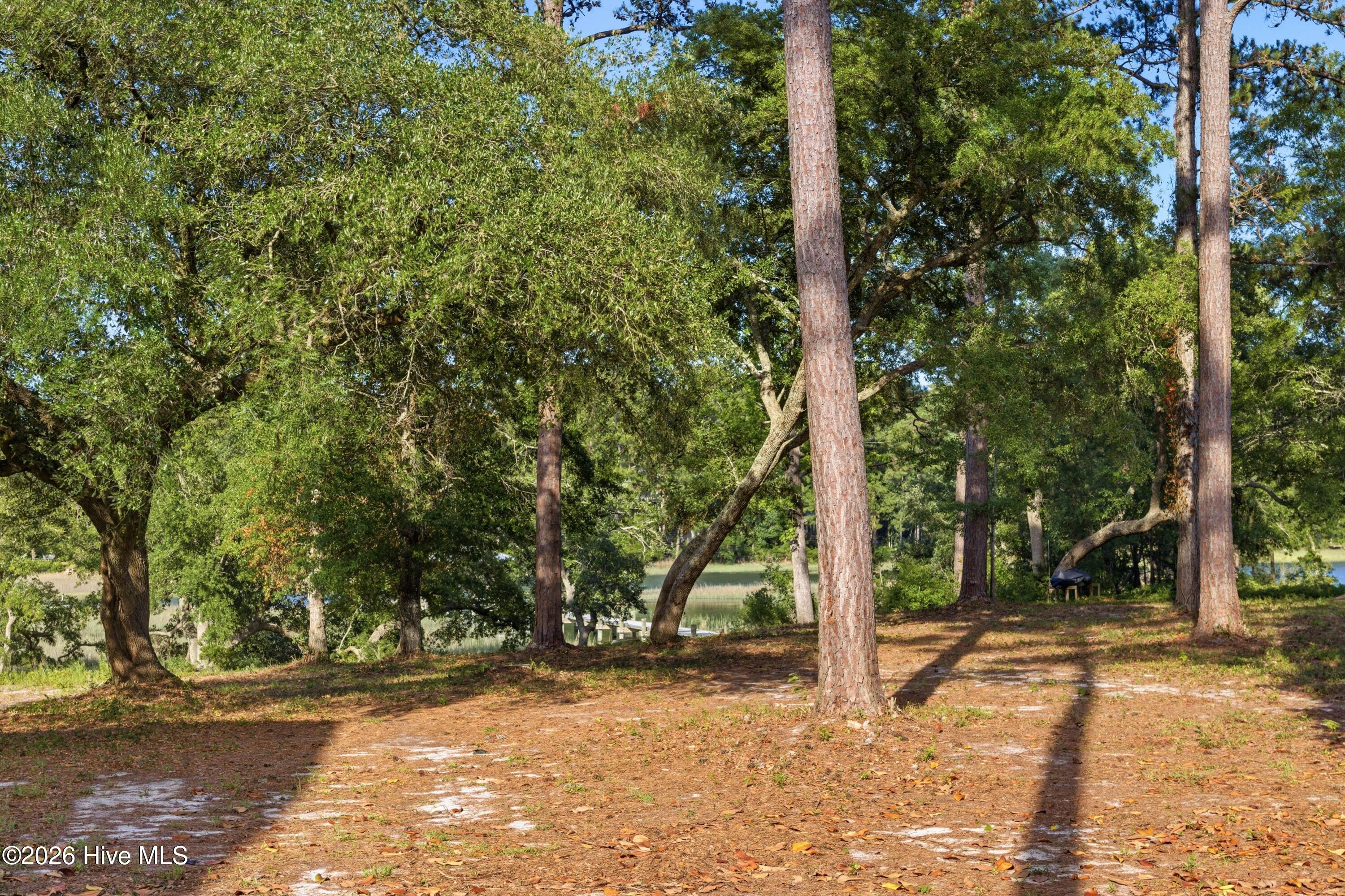 100577138 | Photo 25