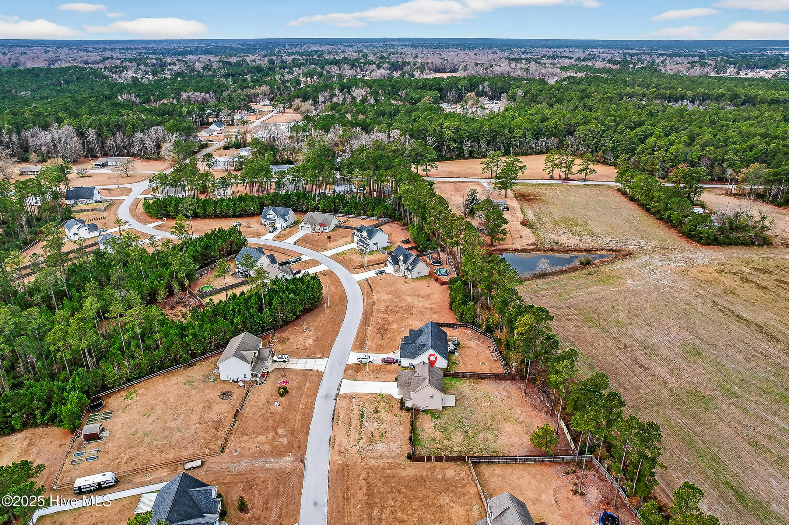 100546178 | Photo 35