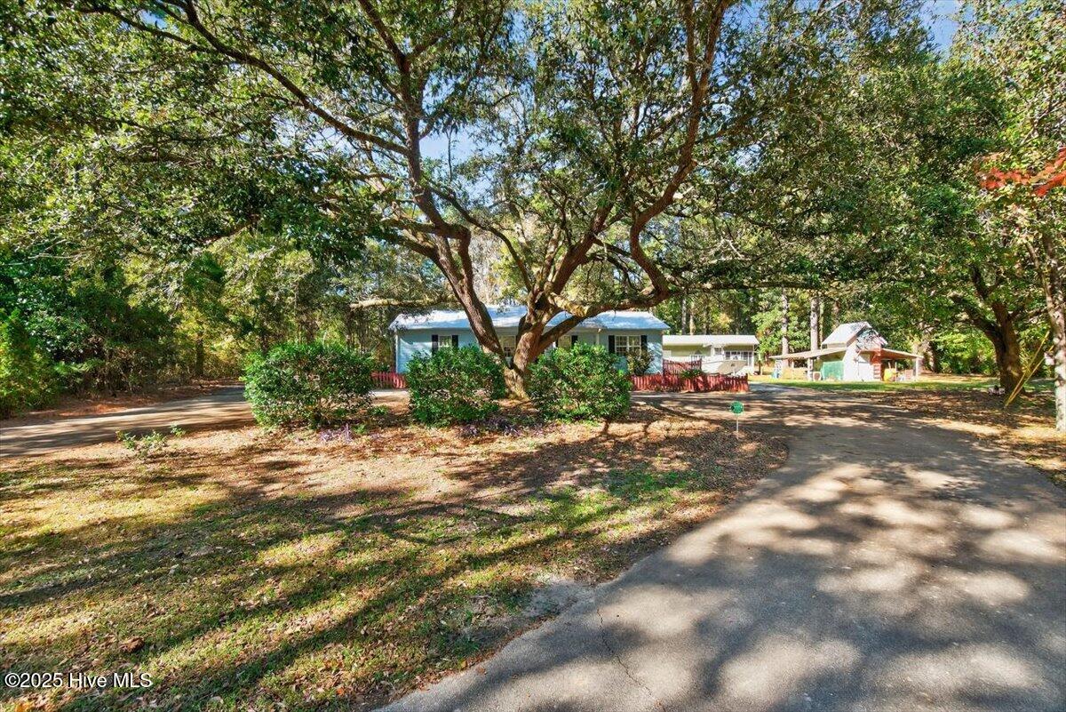 100539192 | Photo 39