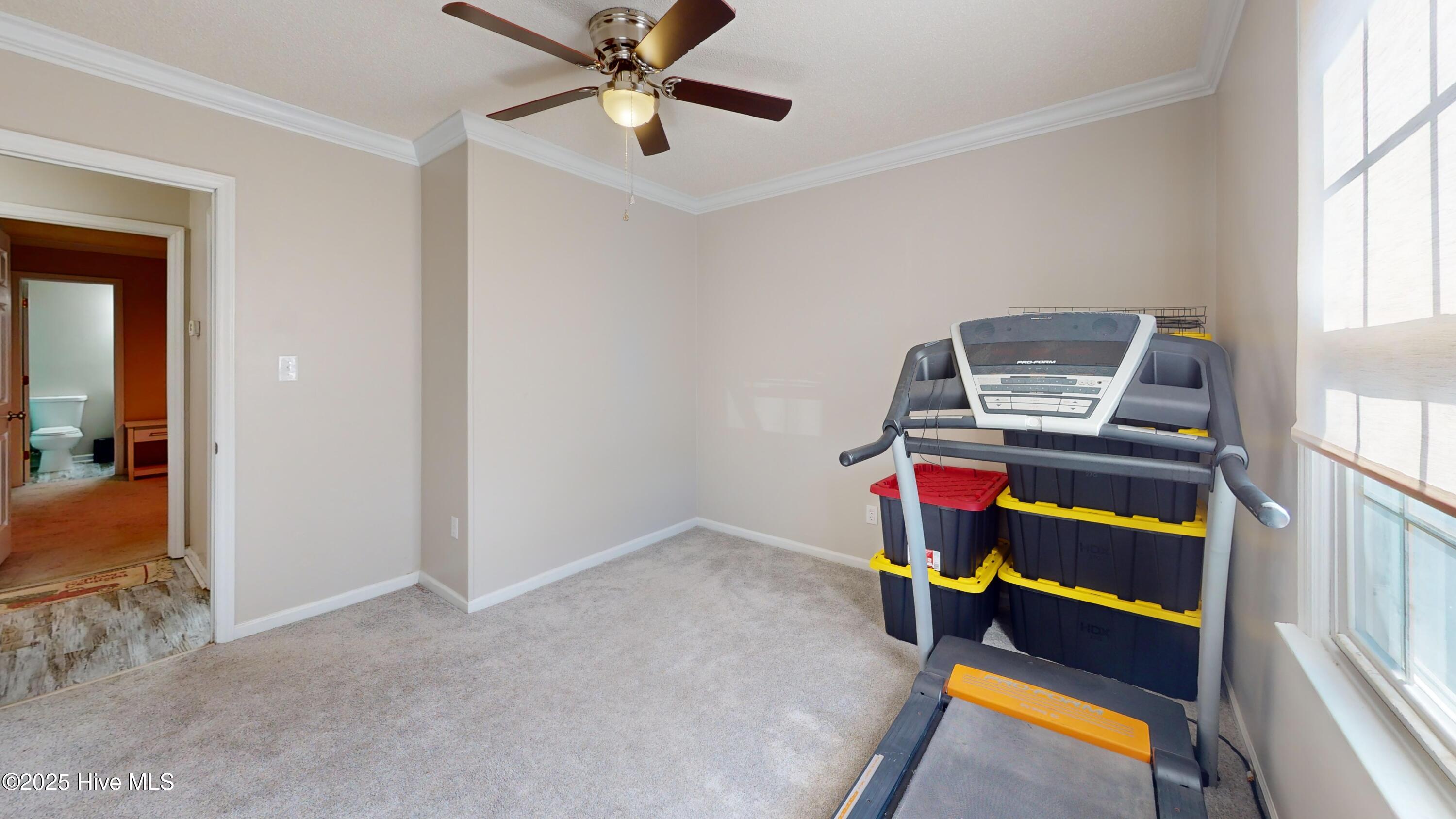 100546181 | Photo 23