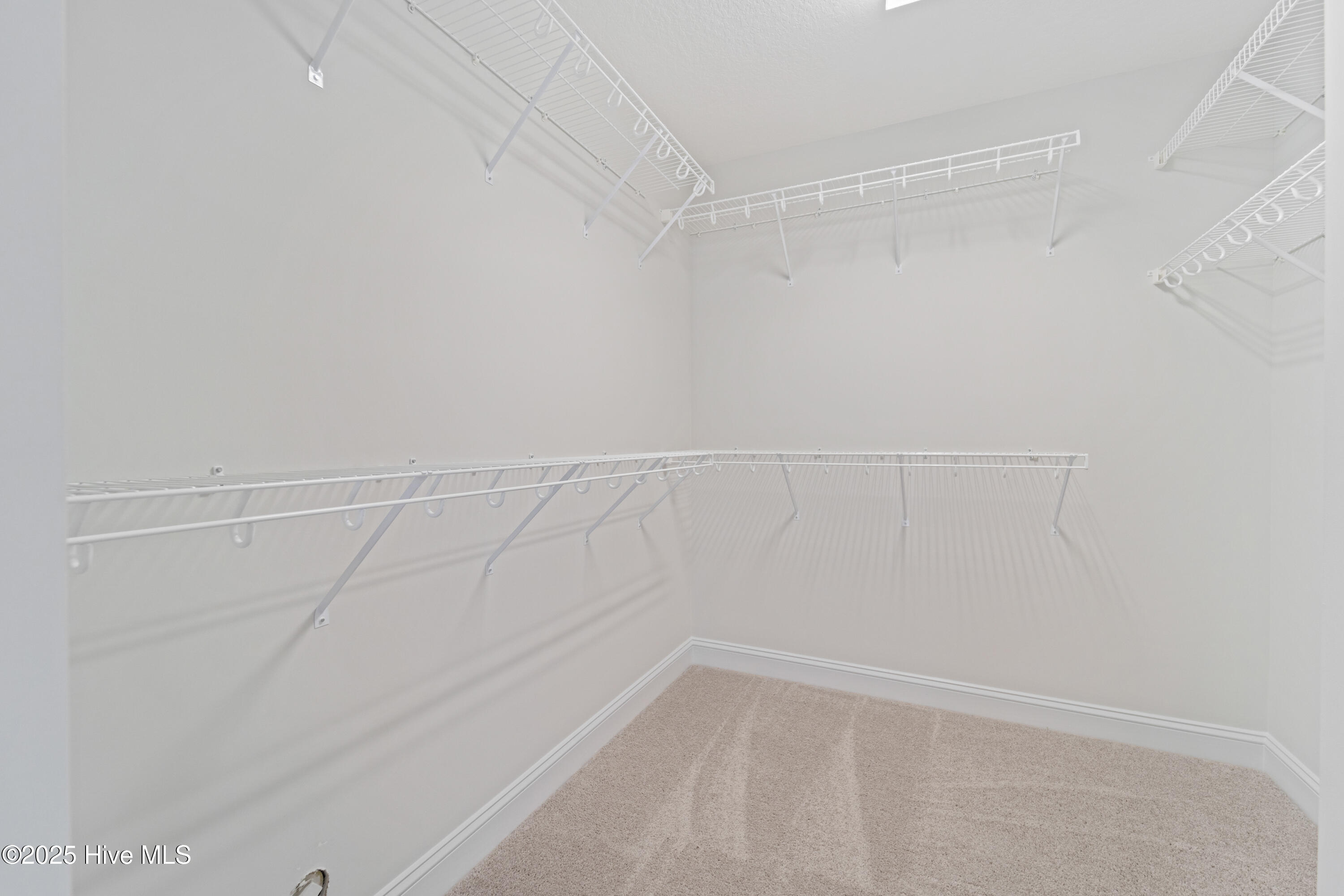 100519701 | Photo 24