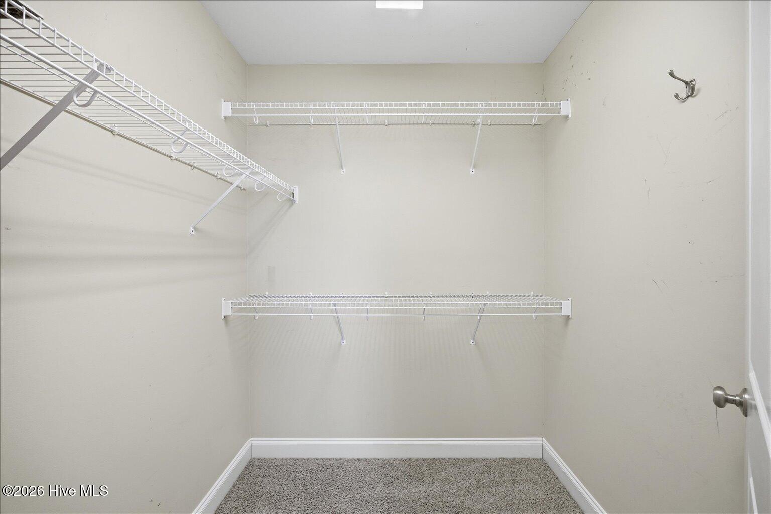 100561166 | Photo 21