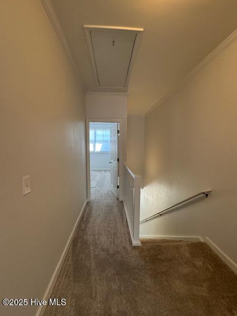 100499994 | Photo 17