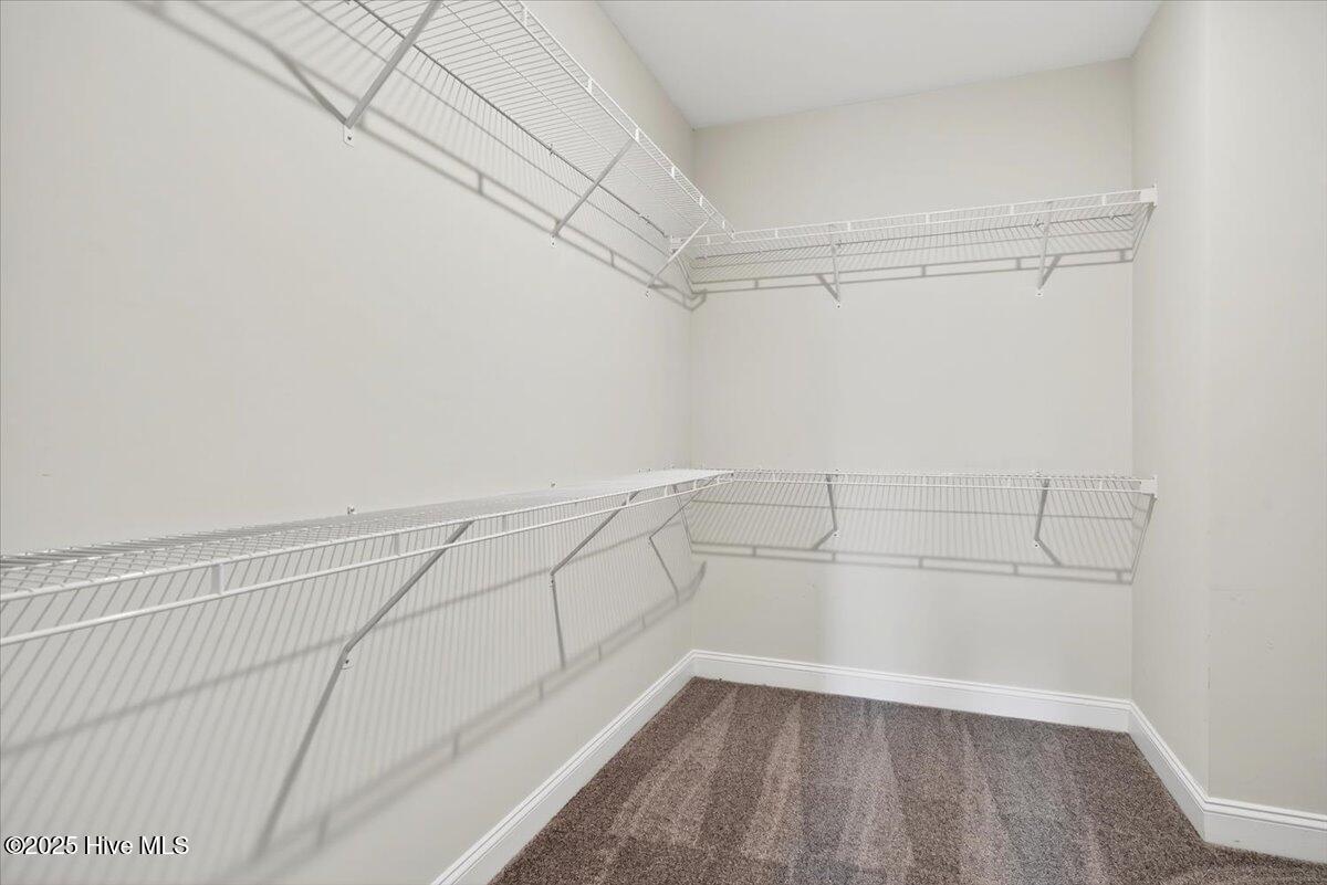 100532421 | Photo 25