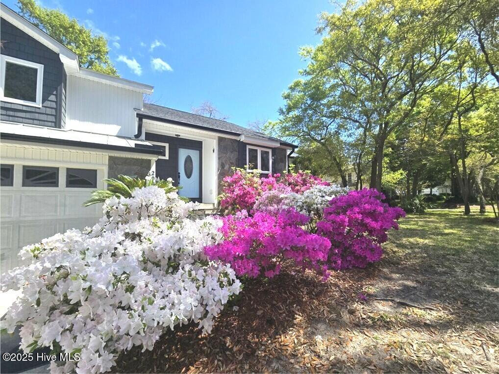 100532322 | Photo 34