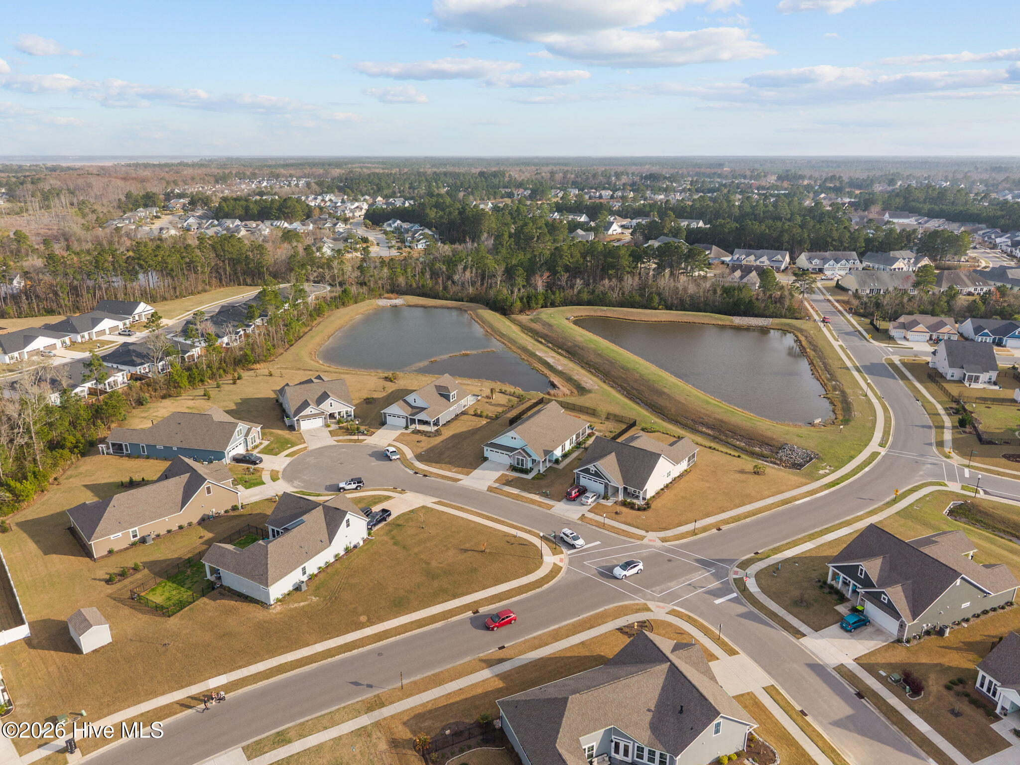 100559124 | Photo 52