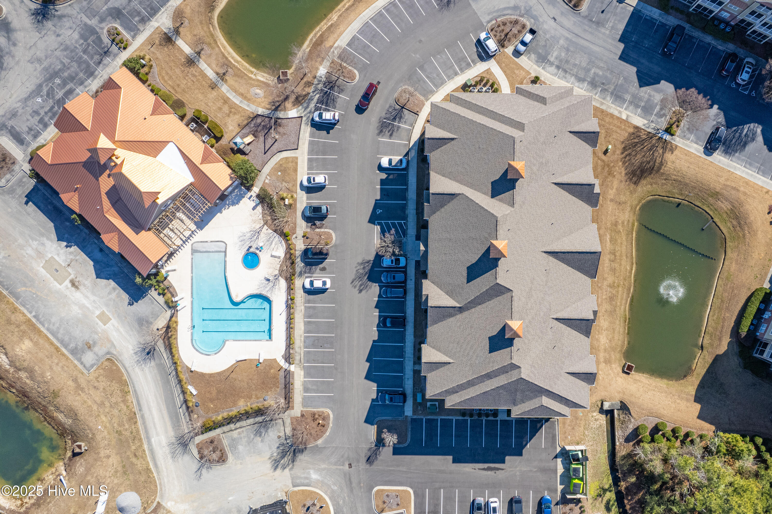 100521435 | Photo 35