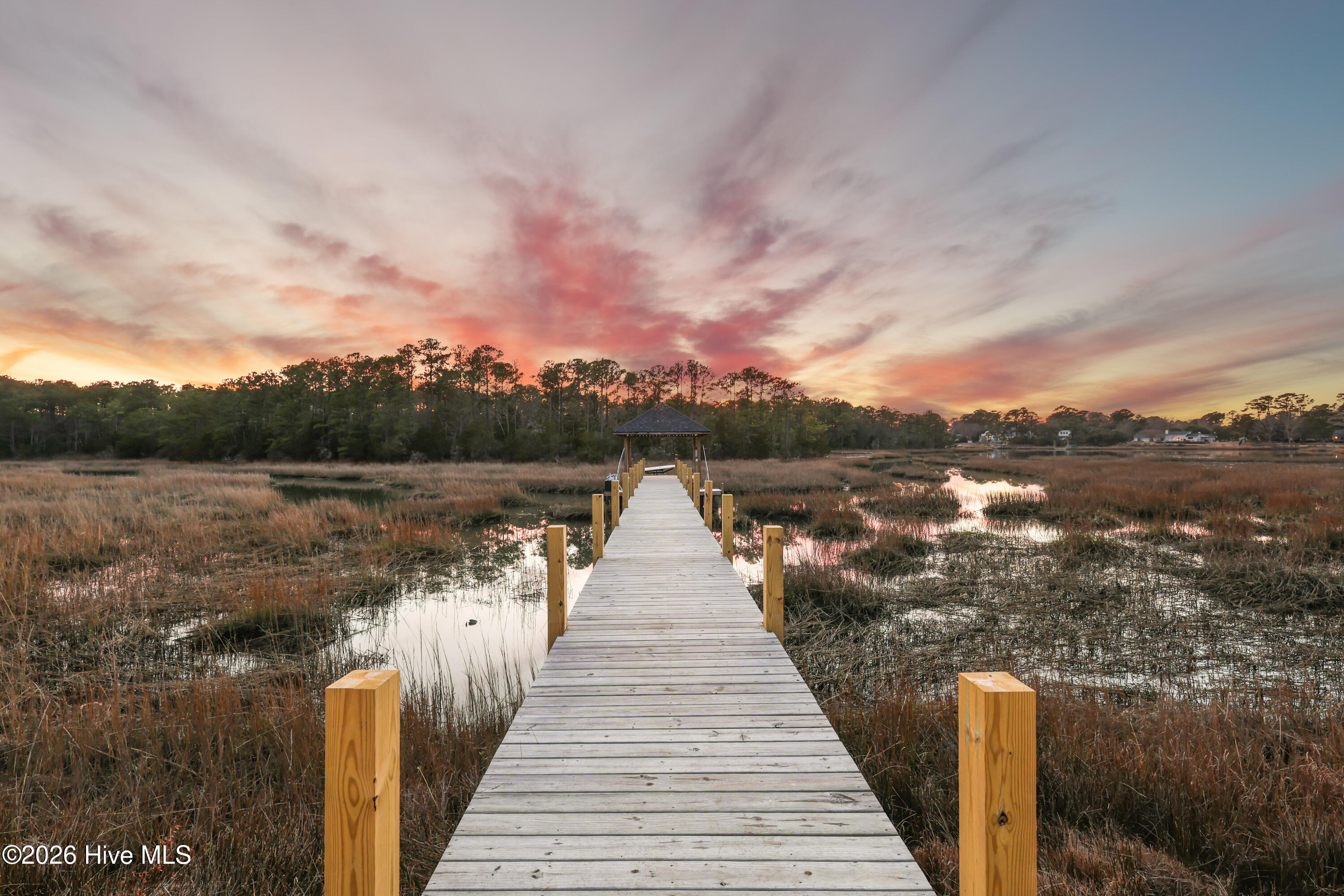 100554567 | Photo 88