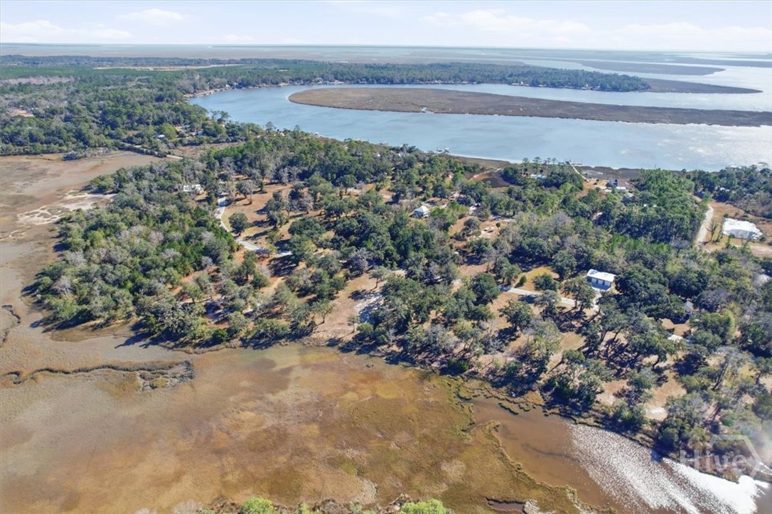 Homes for sale in Midway, GA | Lot 3 Bermuda Bluff Ln, Midway, GA 31320 | MLS# SA348556