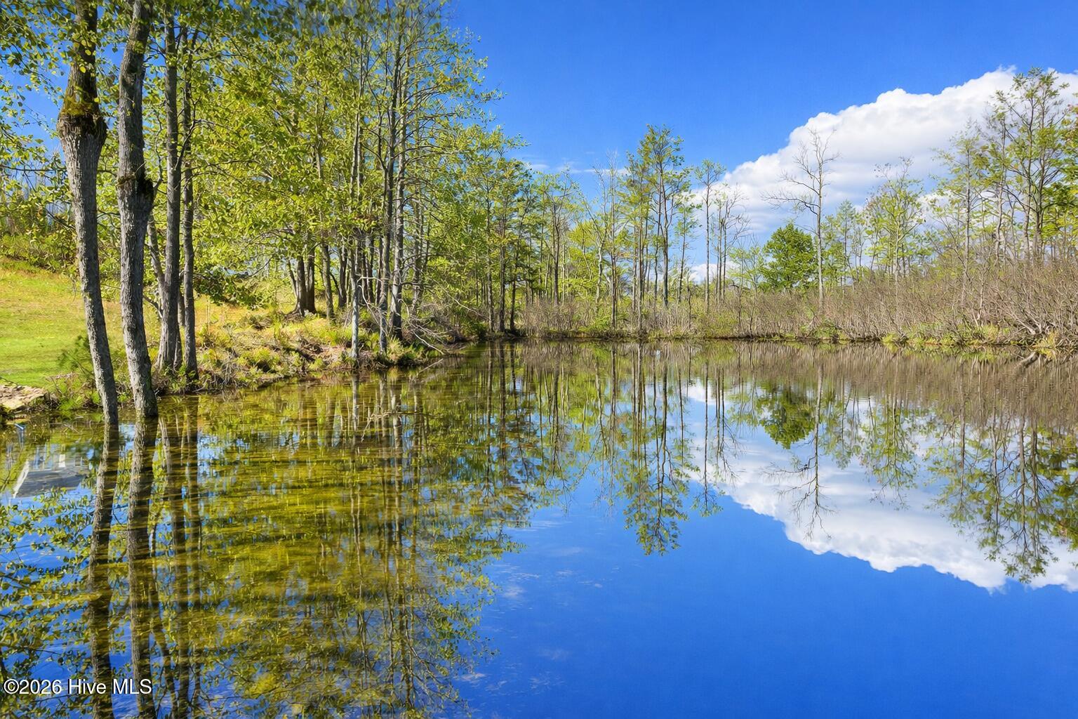 100564541 | Photo 64