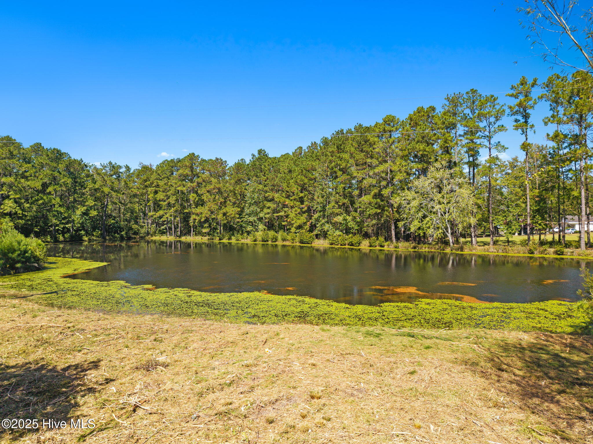 100538518 | Photo 16