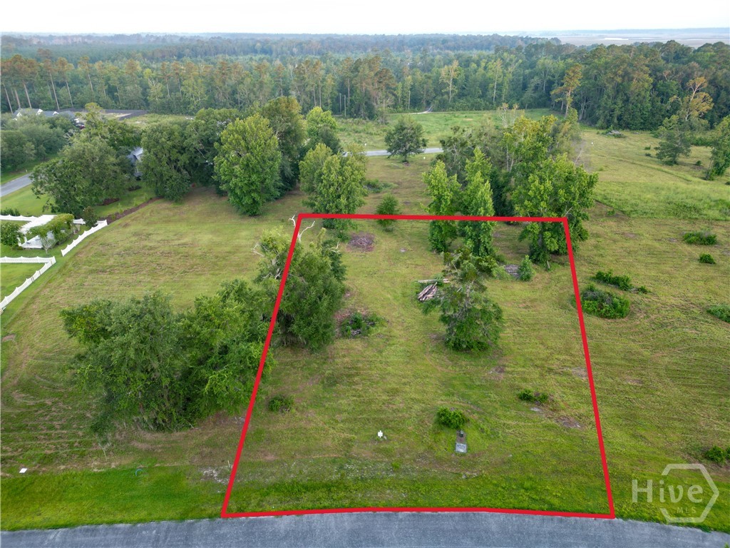 Photo 4 of Land for sale at Lot #26 Baker Is Way NE, Townsend, GA 31331 | MLS# SA365195 | Listing updated on 2026-10-06