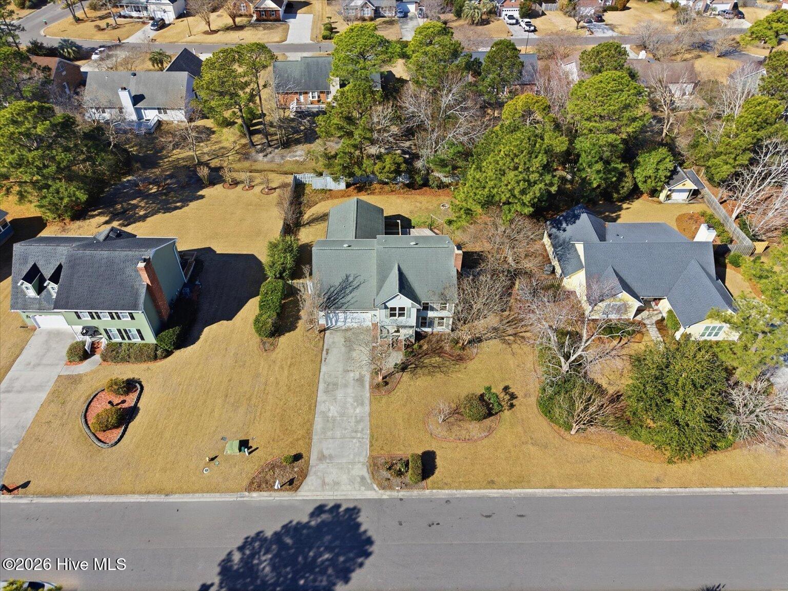 100554037 | Photo 24