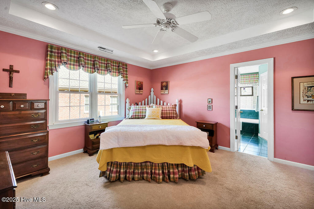 100541437 | Photo 30