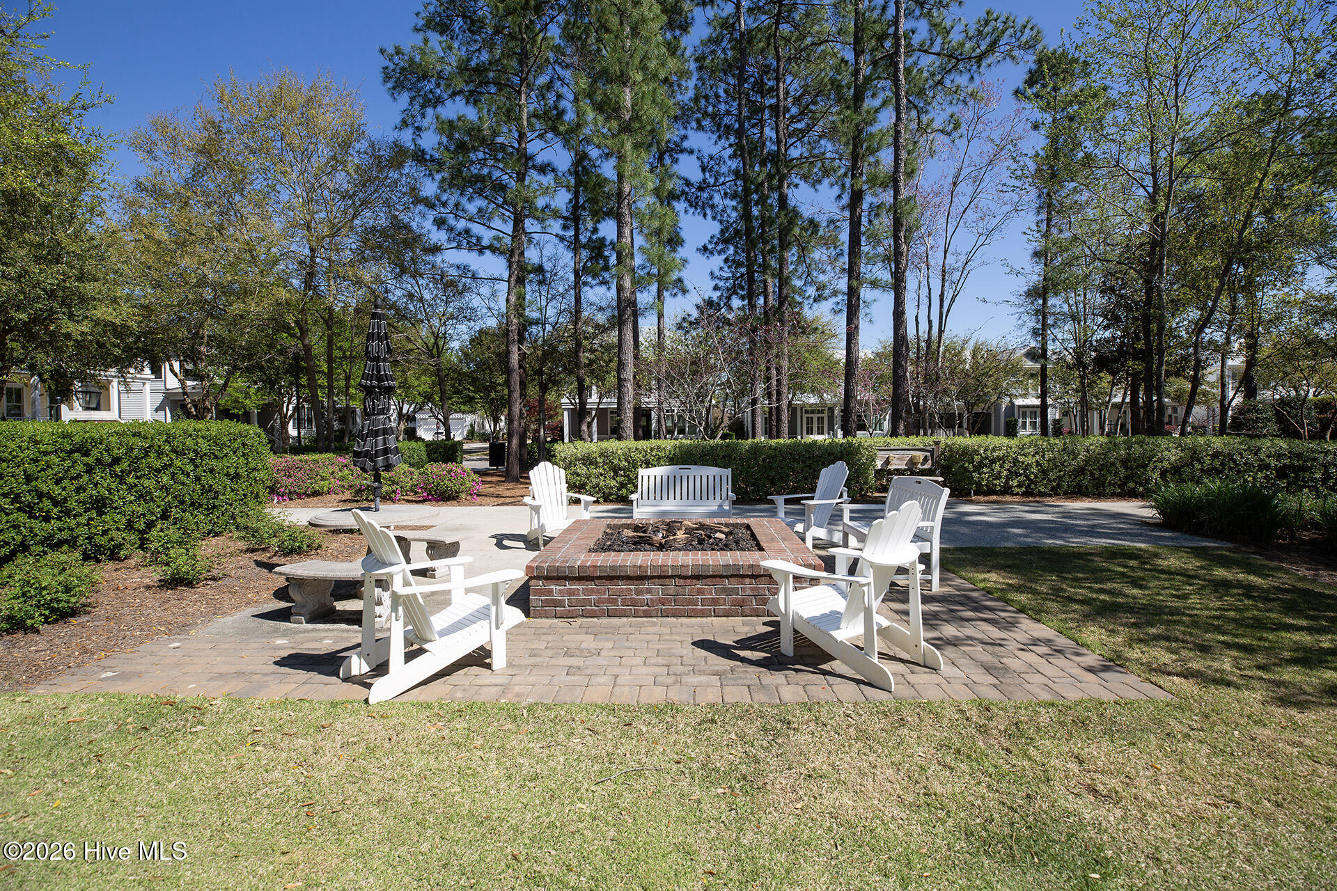 100563719 | Photo 60