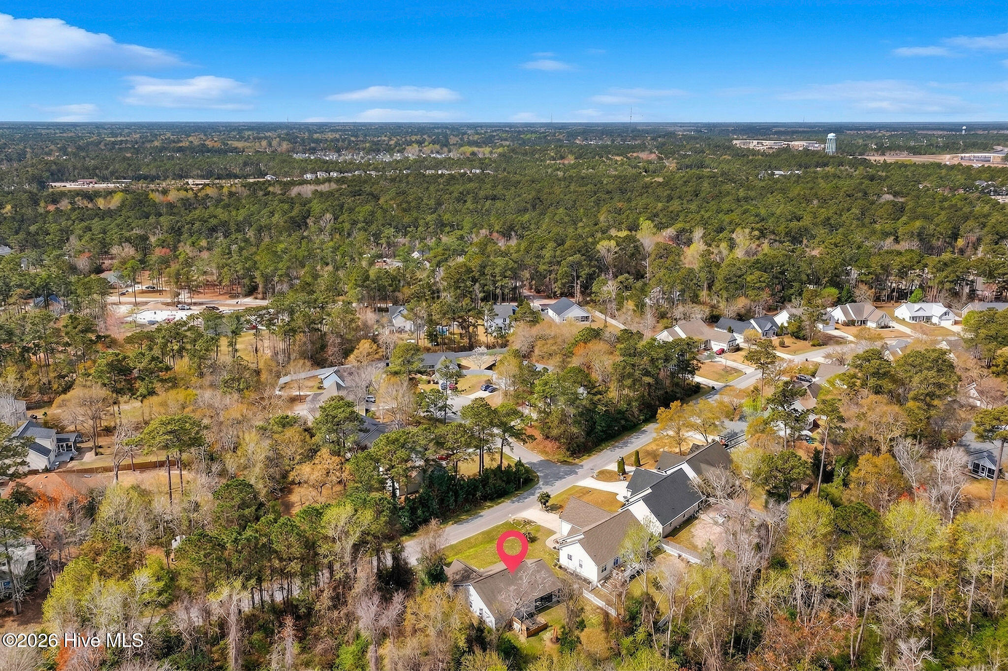 100562659 | Photo 40