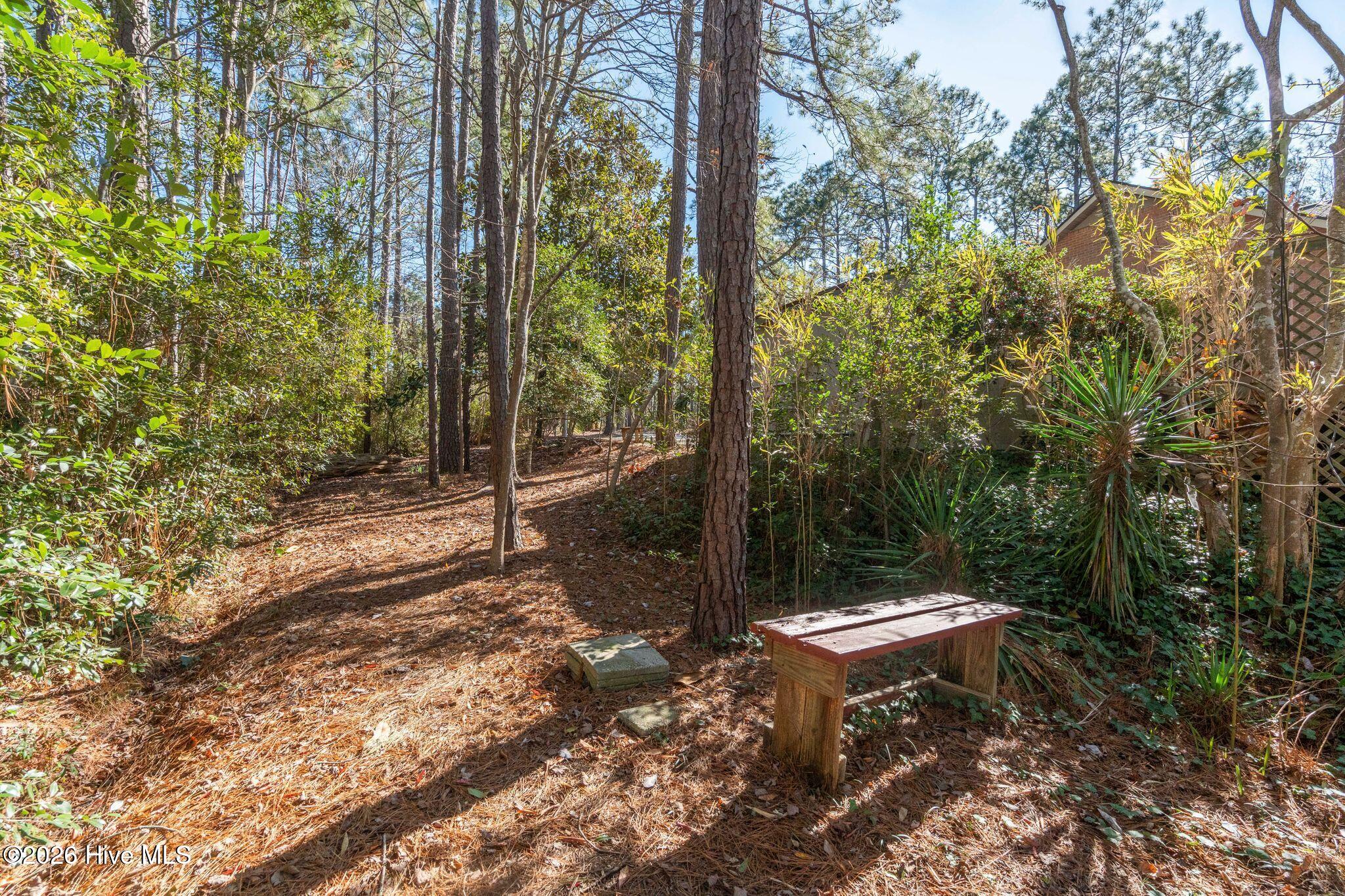 100552539 | Photo 80