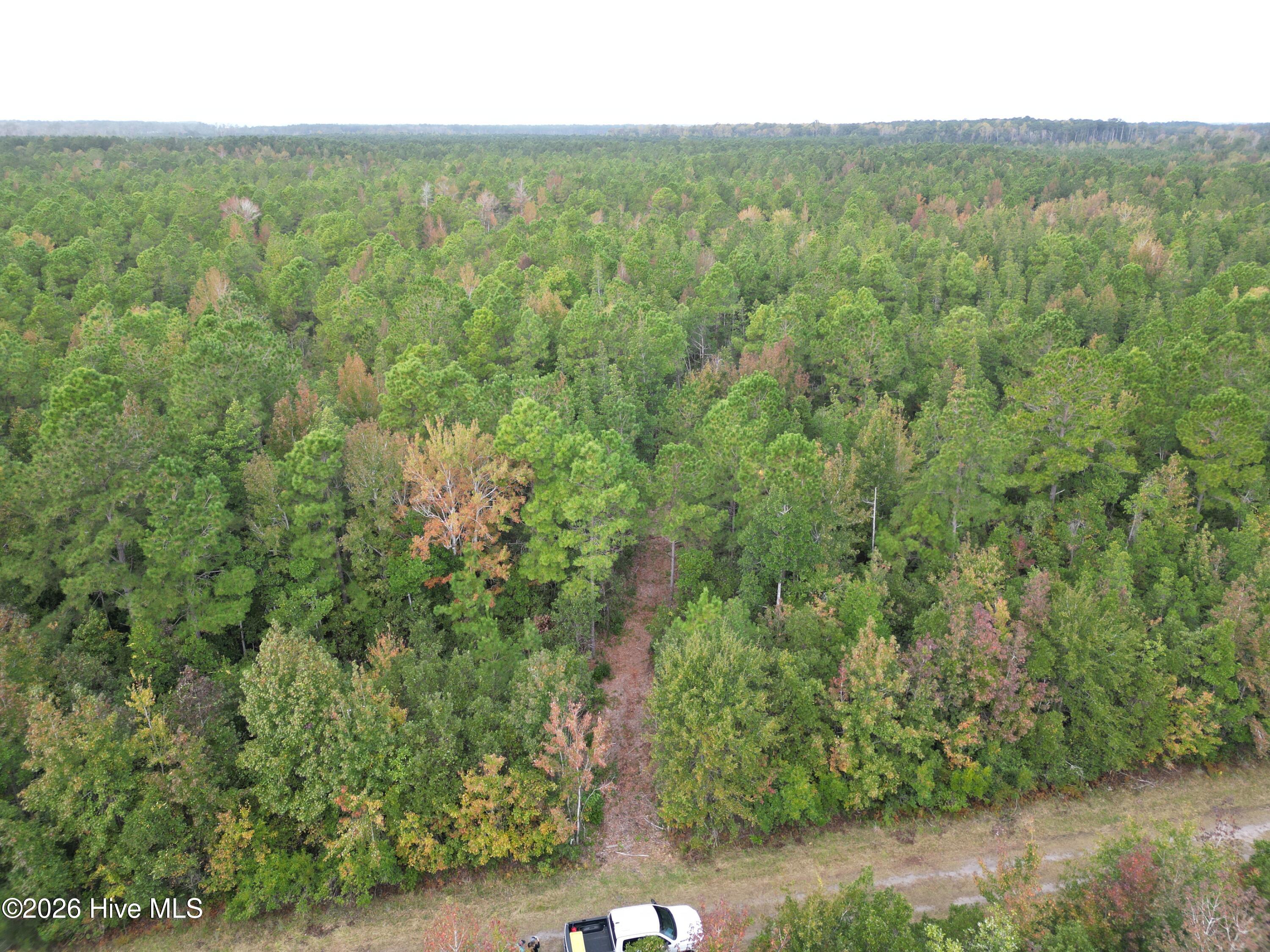 100613382 | Photo 2