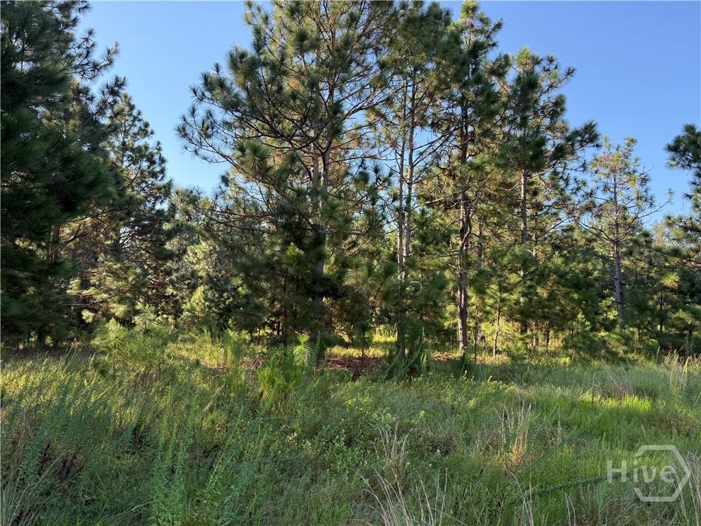 5th image of 0 Sunbury Rd #Tract 4, Claxton, GA 30417 | MLS# SA339073