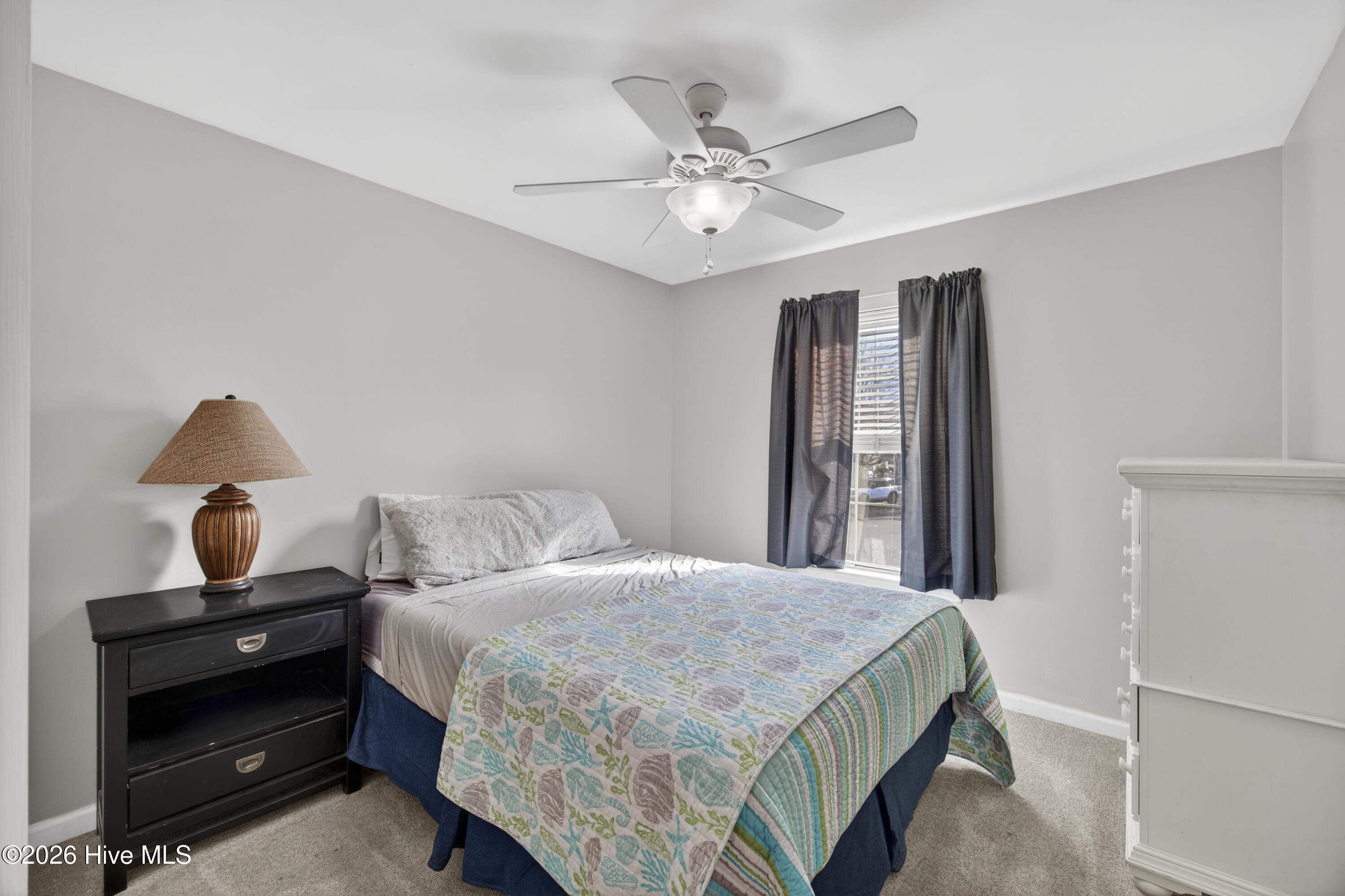 100550573 | Photo 24