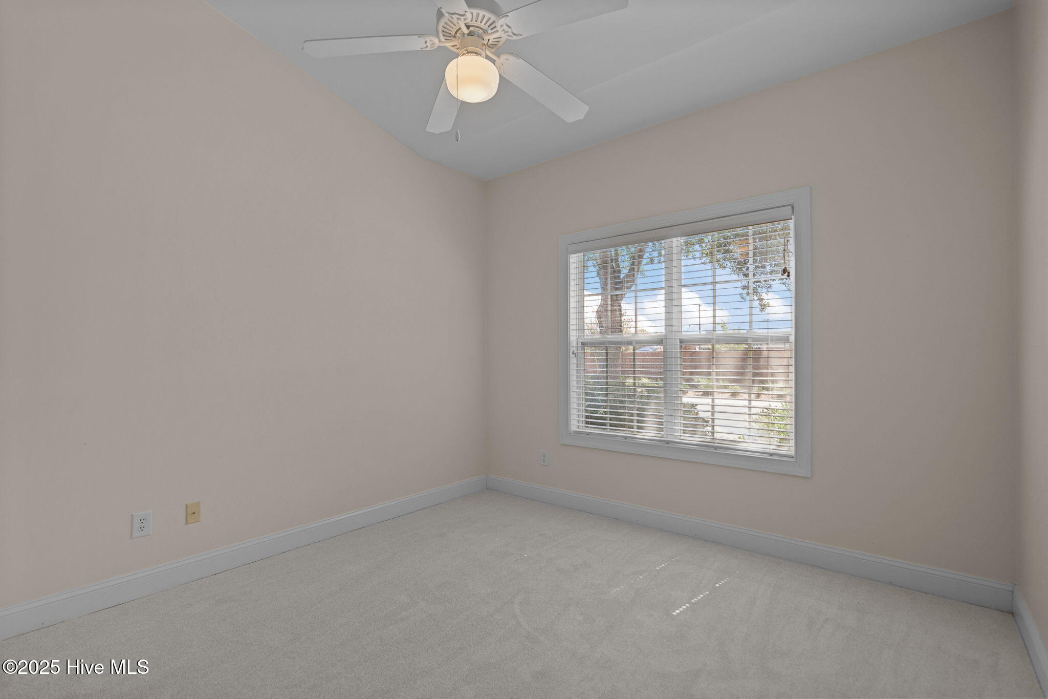 100559458 | Photo 17