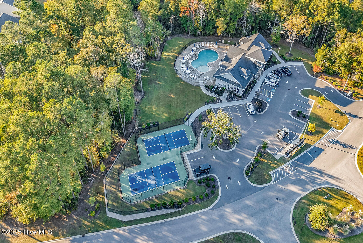 100539654 | Photo 50