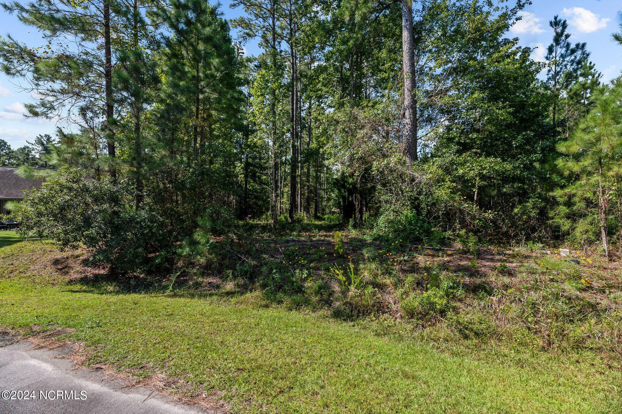 102 Redbud Court, Havelock, NC, 28532