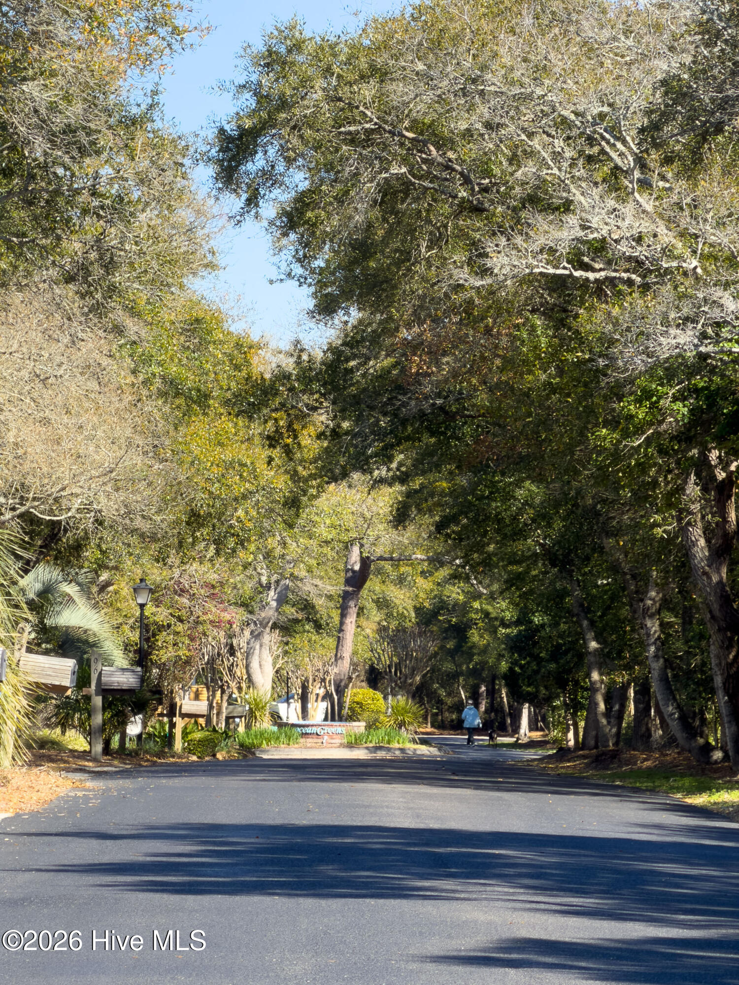 100561643 | Photo 65