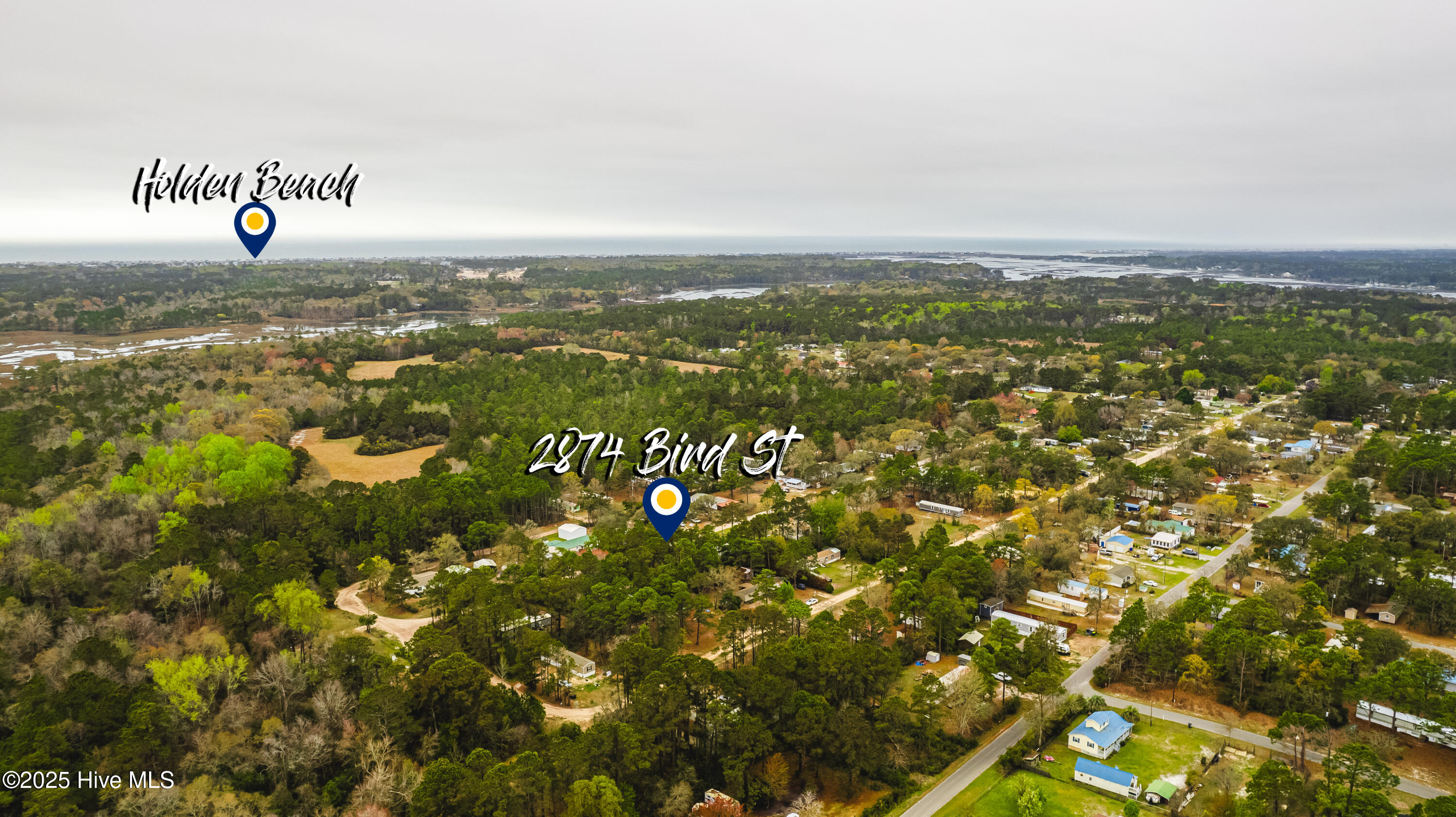 100543288 | Photo 52