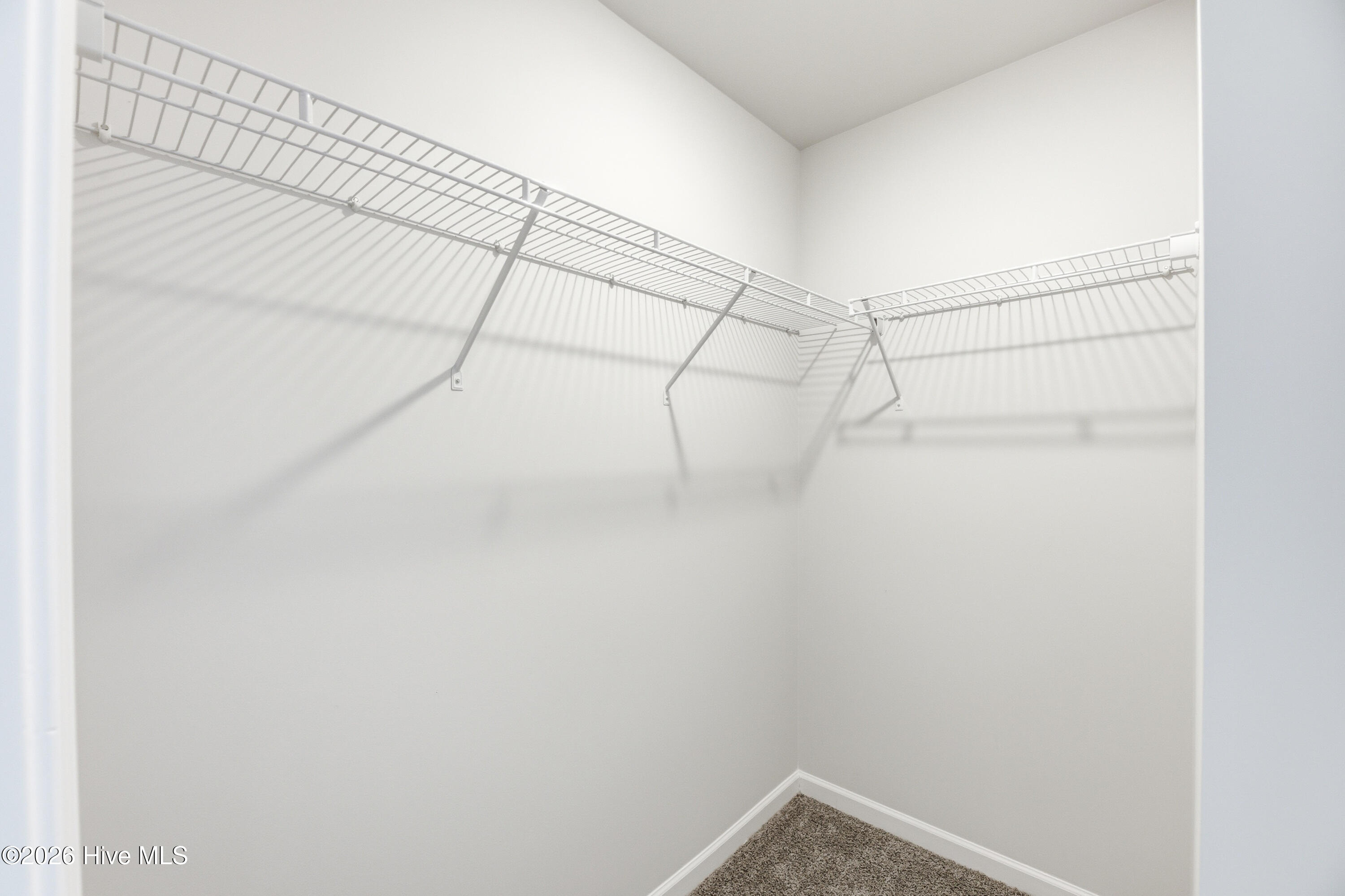 100559621 | Photo 12