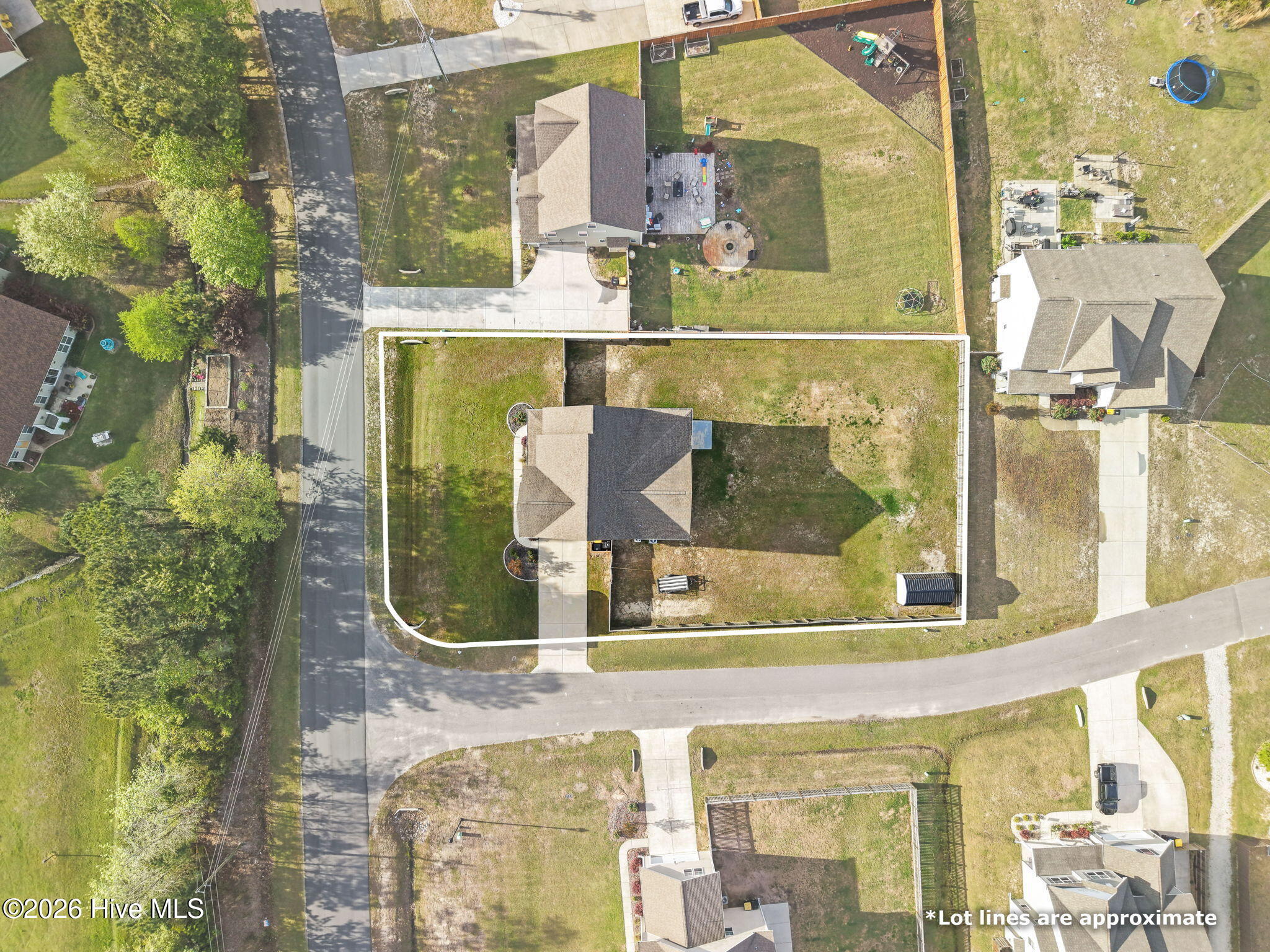 100564954 | Photo 52