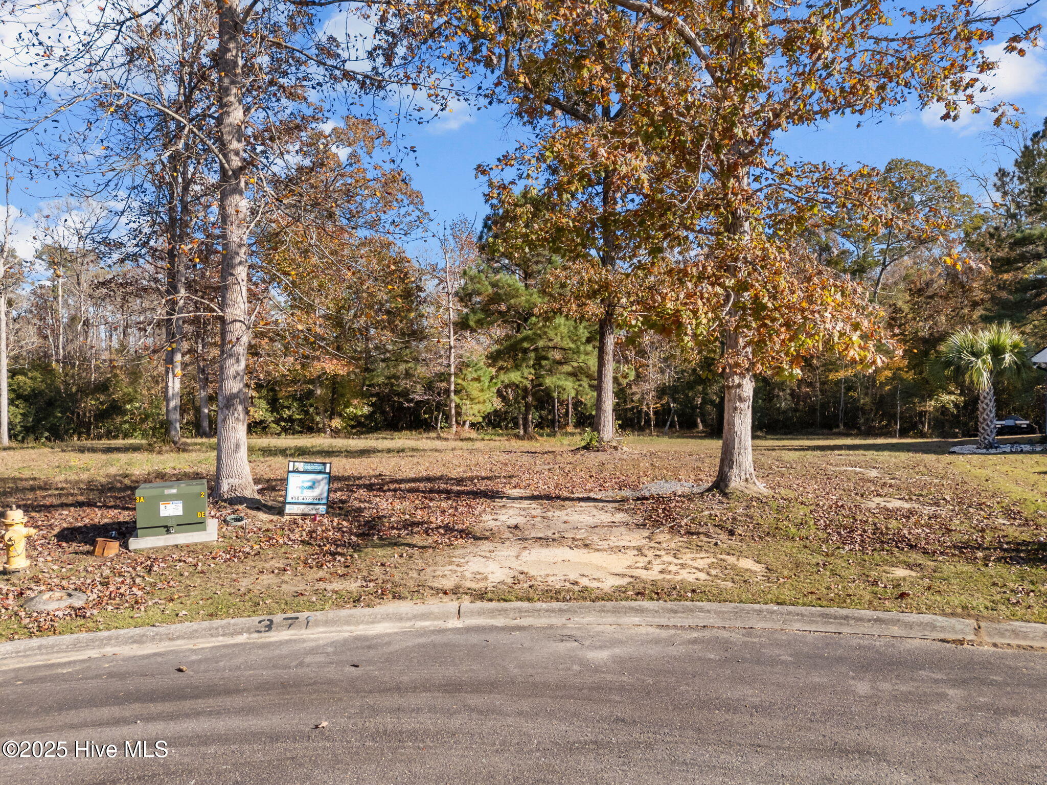 100540368 | Photo 12