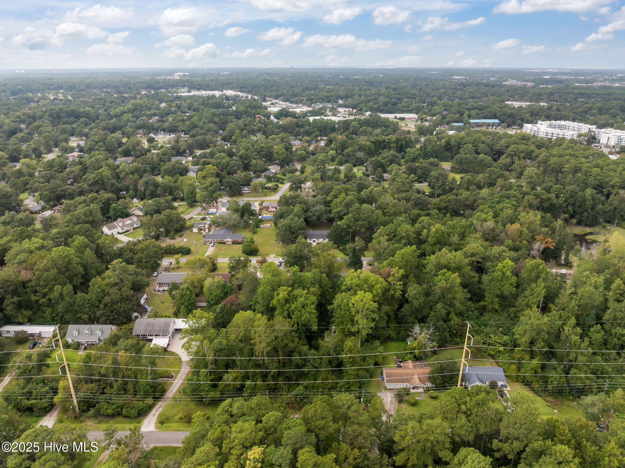 100529798 | Photo 18