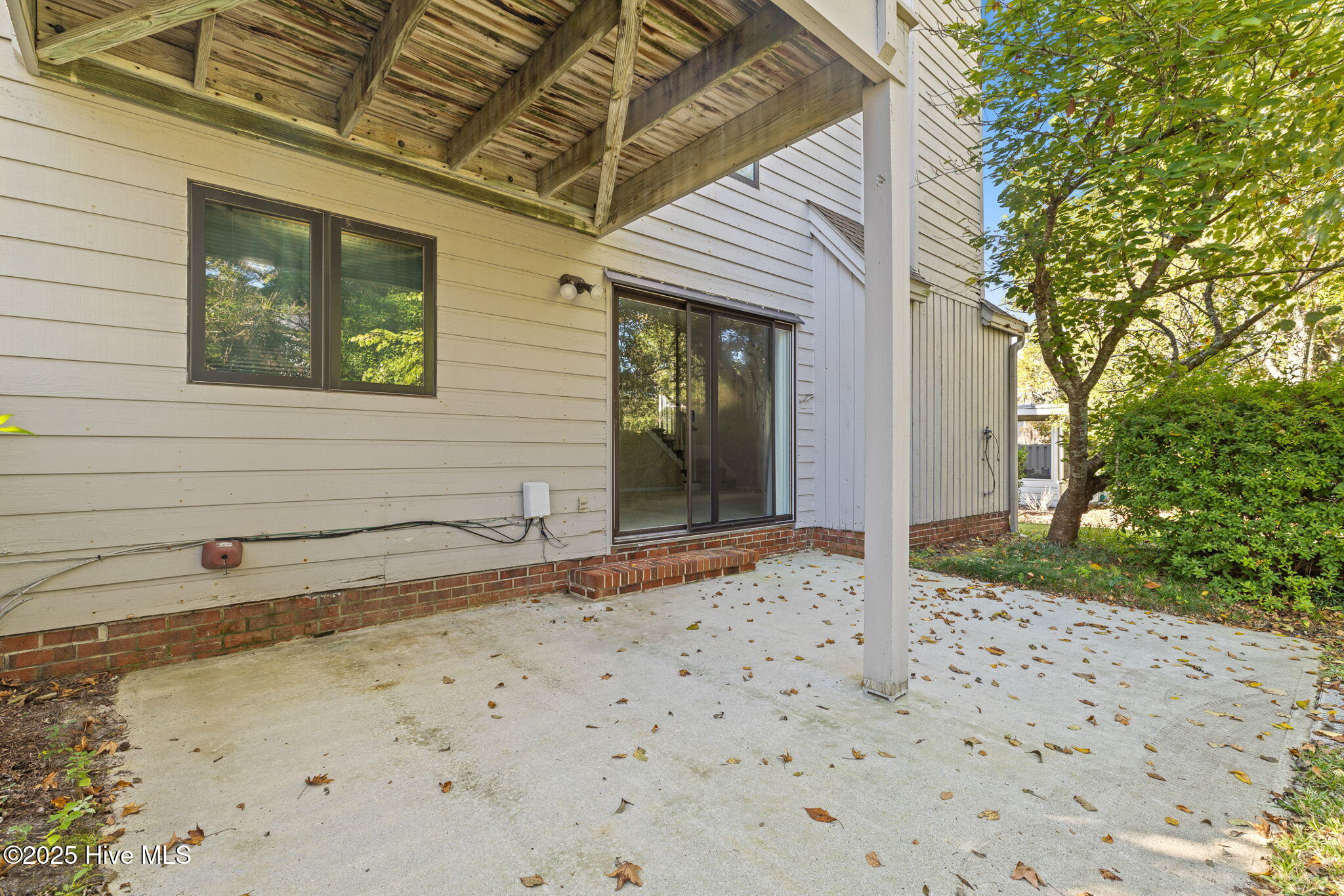 100535092 | Photo 35