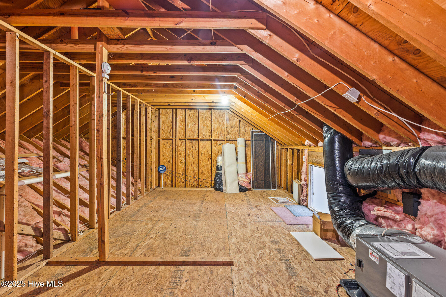 100519162 | Photo 34