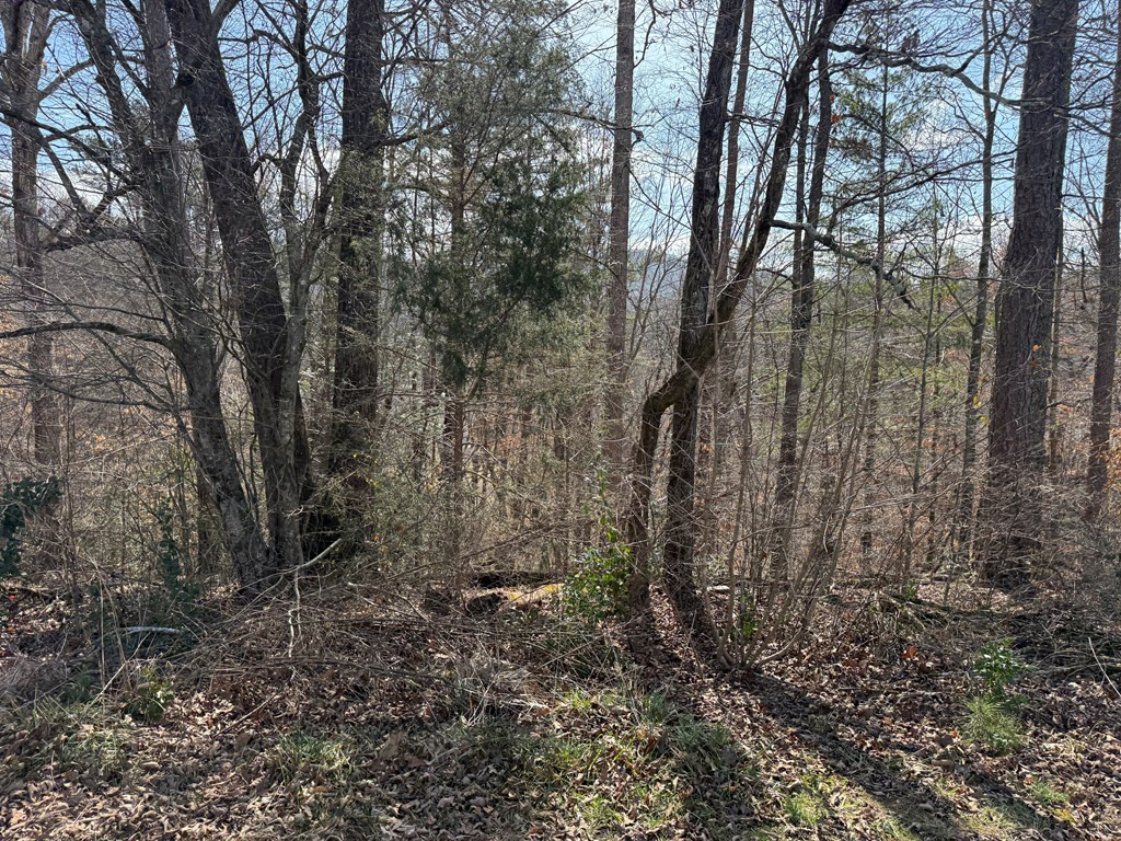98525343 | Photo 3