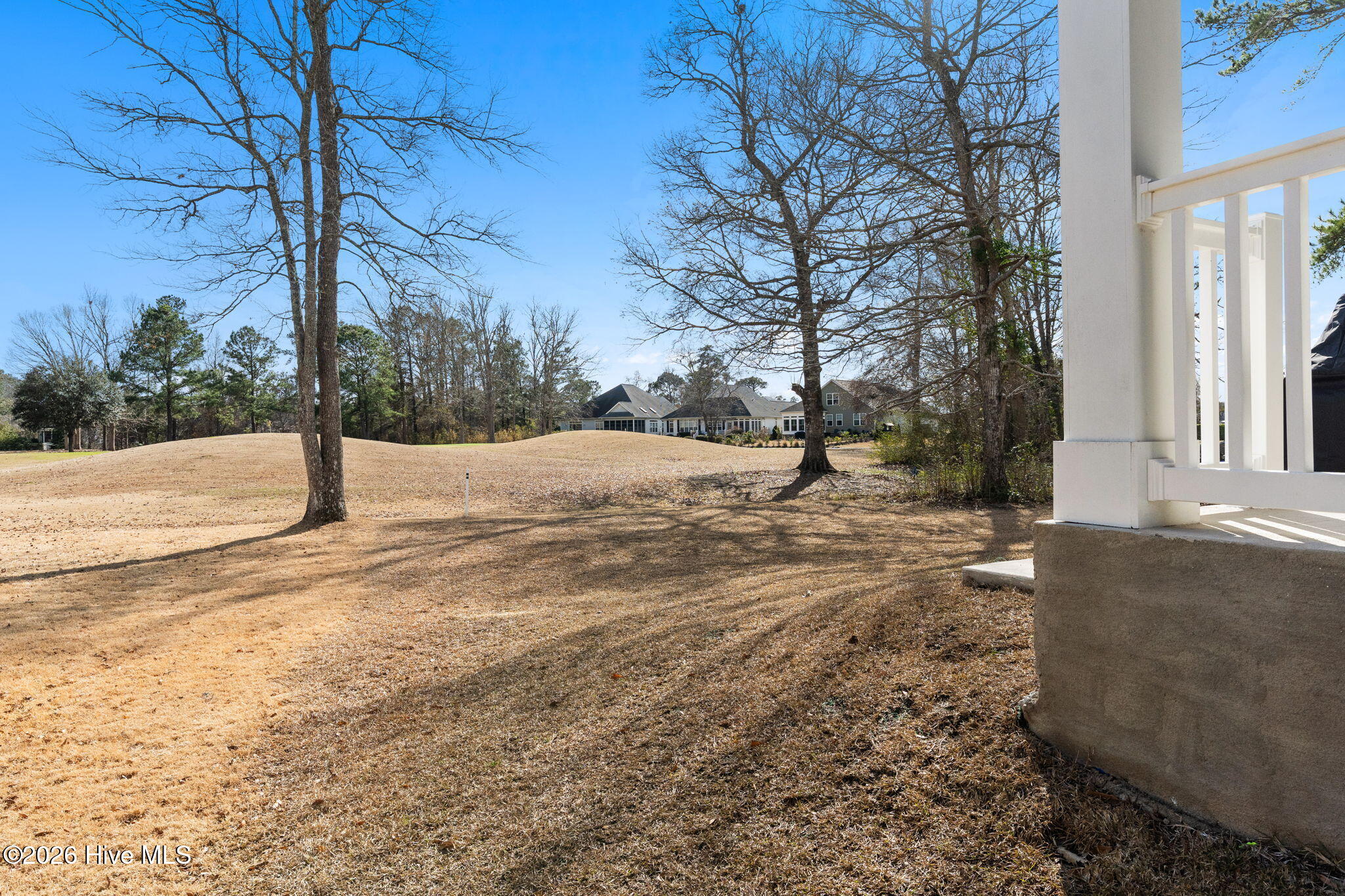 100555775 | Photo 44