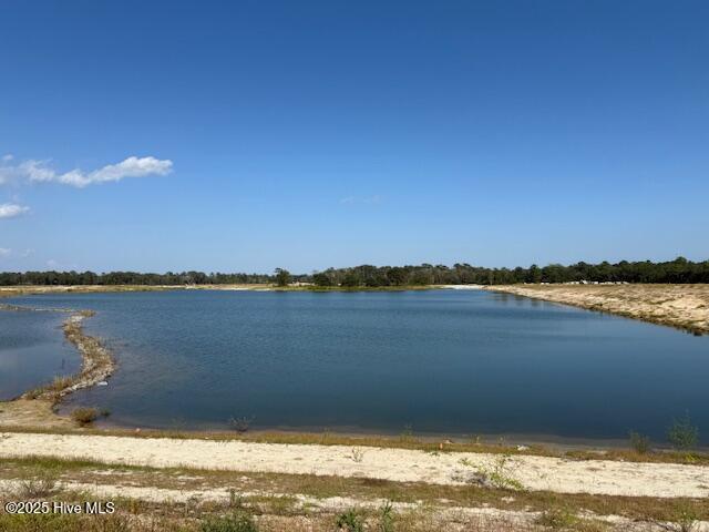 100533204 | Photo 31