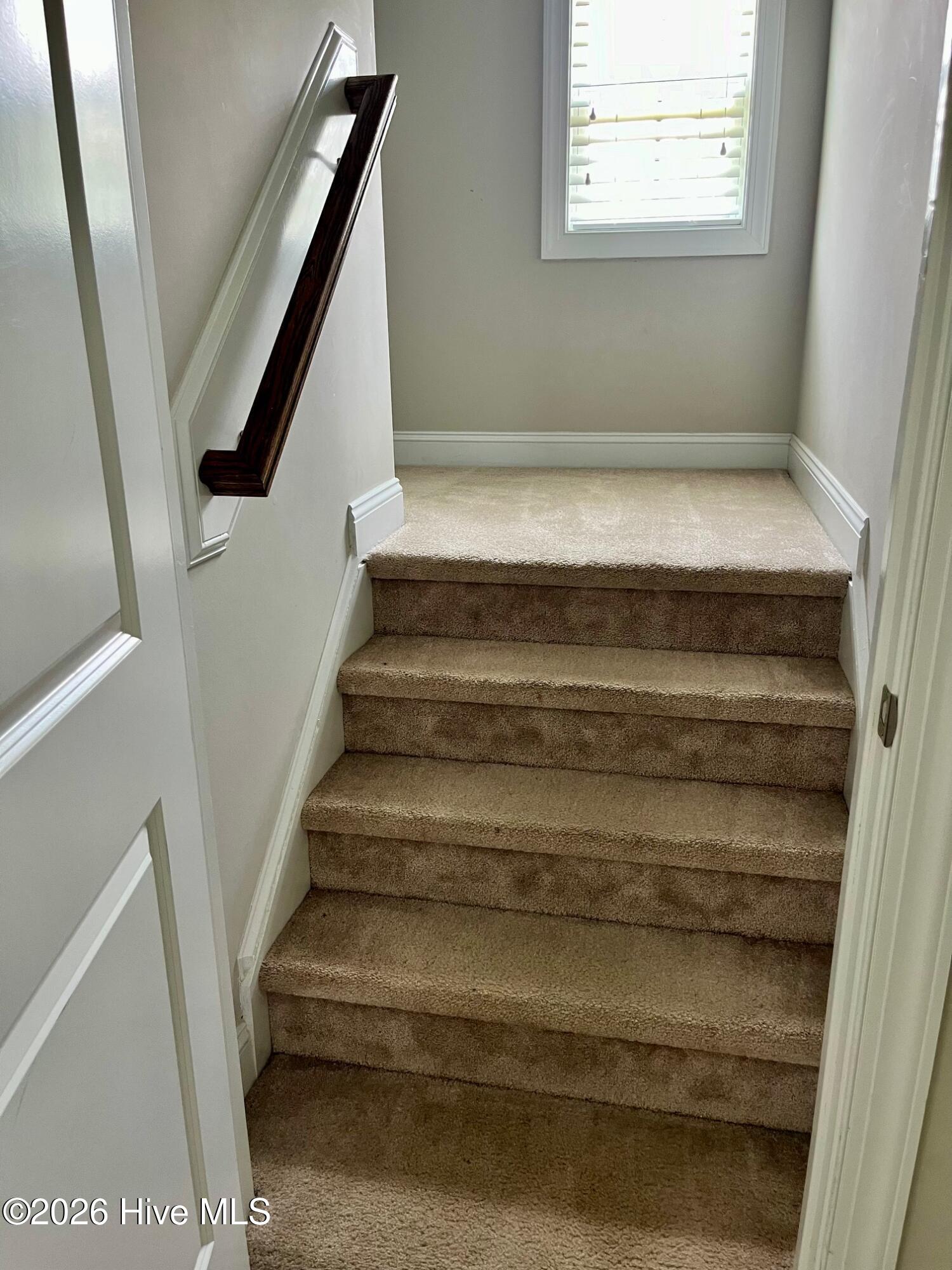 100552710 | Photo 16