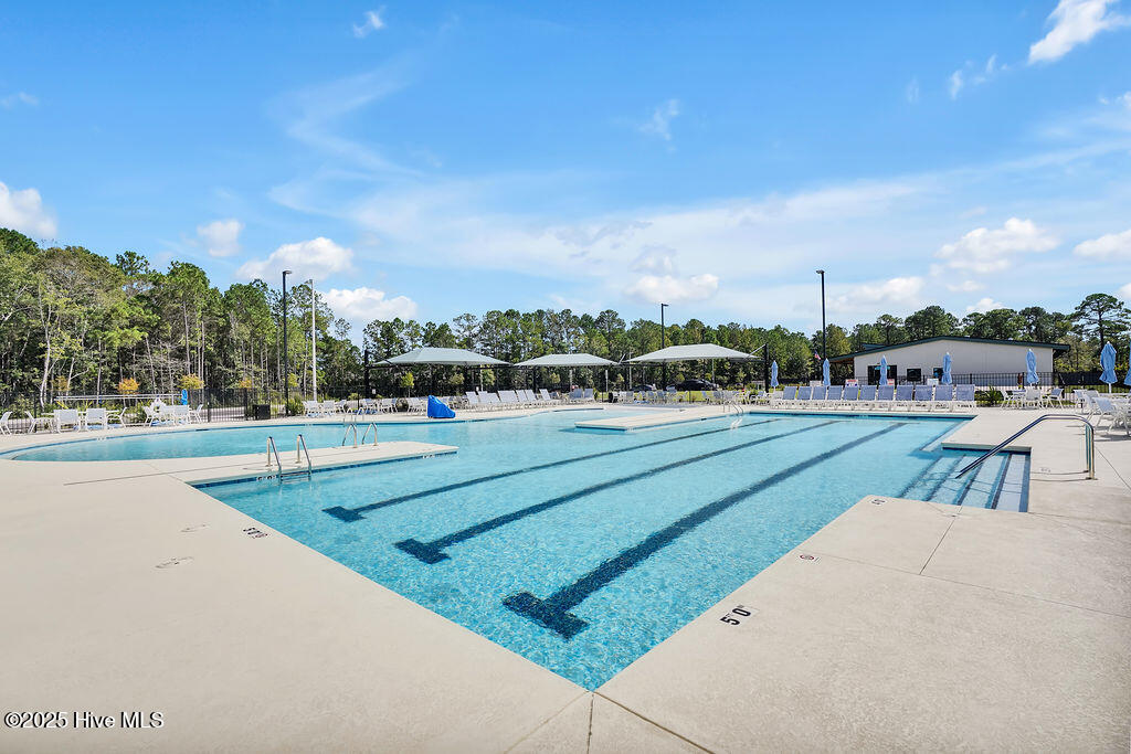 100535984 | Photo 94